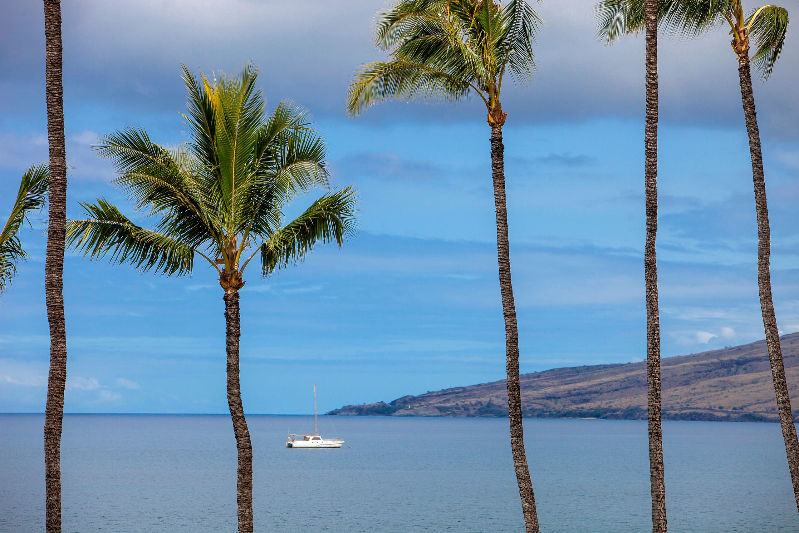 Condo in Kihei · ★4.3 · 1 bedroom · 2 beds · 1 bath - Image 32