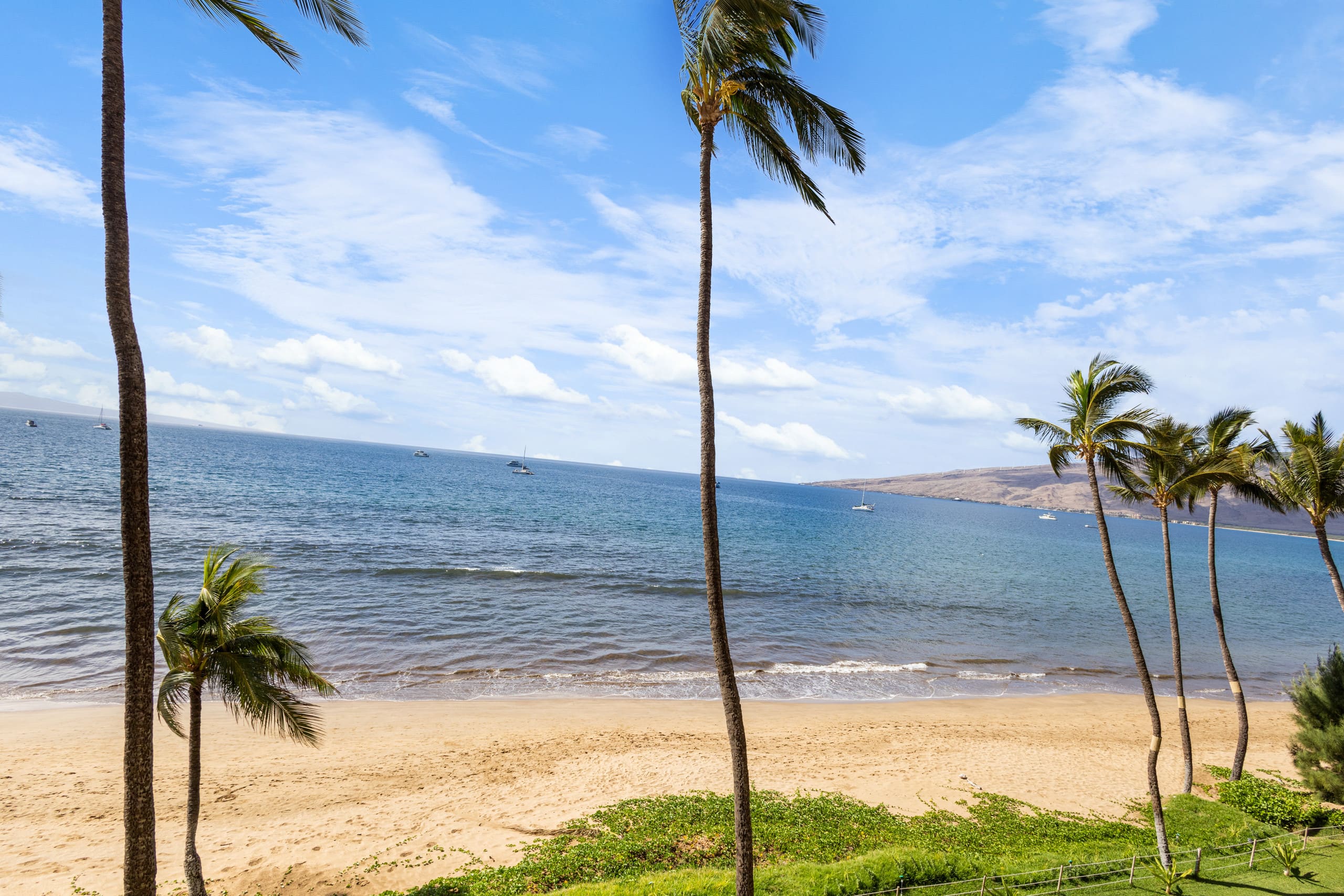 Condo in Kihei · ★4.3 · 1 bedroom · 2 beds · 1 bath - Image 24