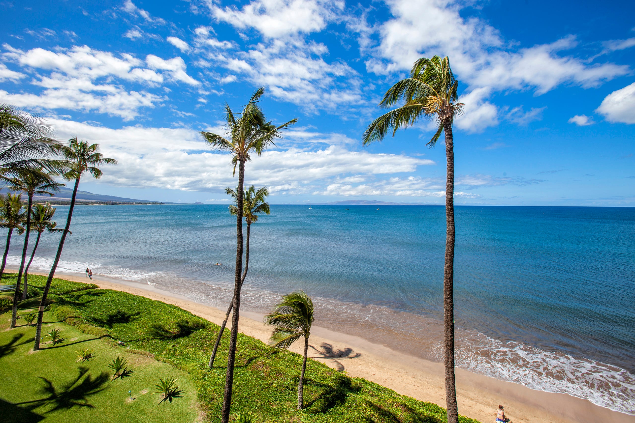 Condo in Kihei · ★4.3 · 1 bedroom · 2 beds · 1 bath - Image 39