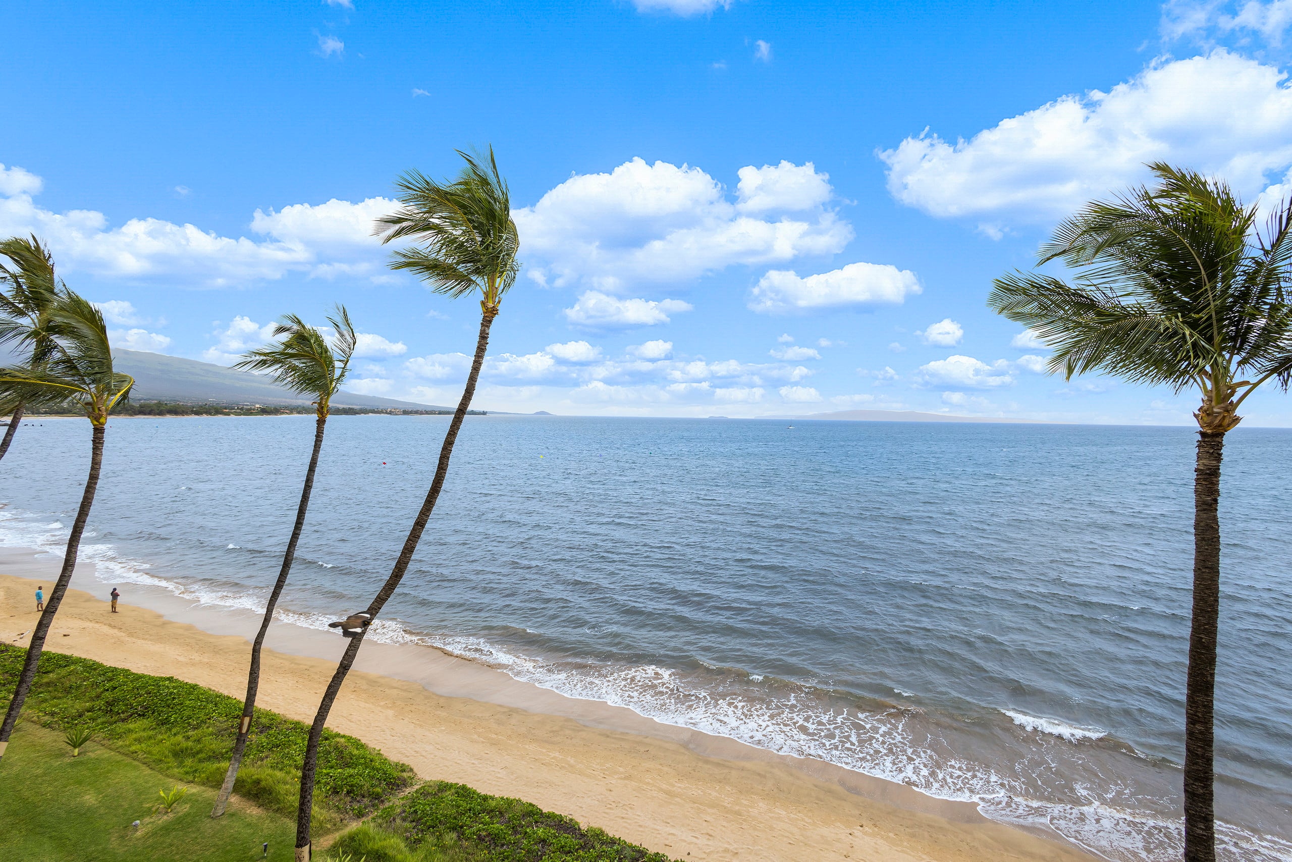 Condo in Kihei · ★4.83 · 1 bedroom · 2 beds · 1 bath - Image 4