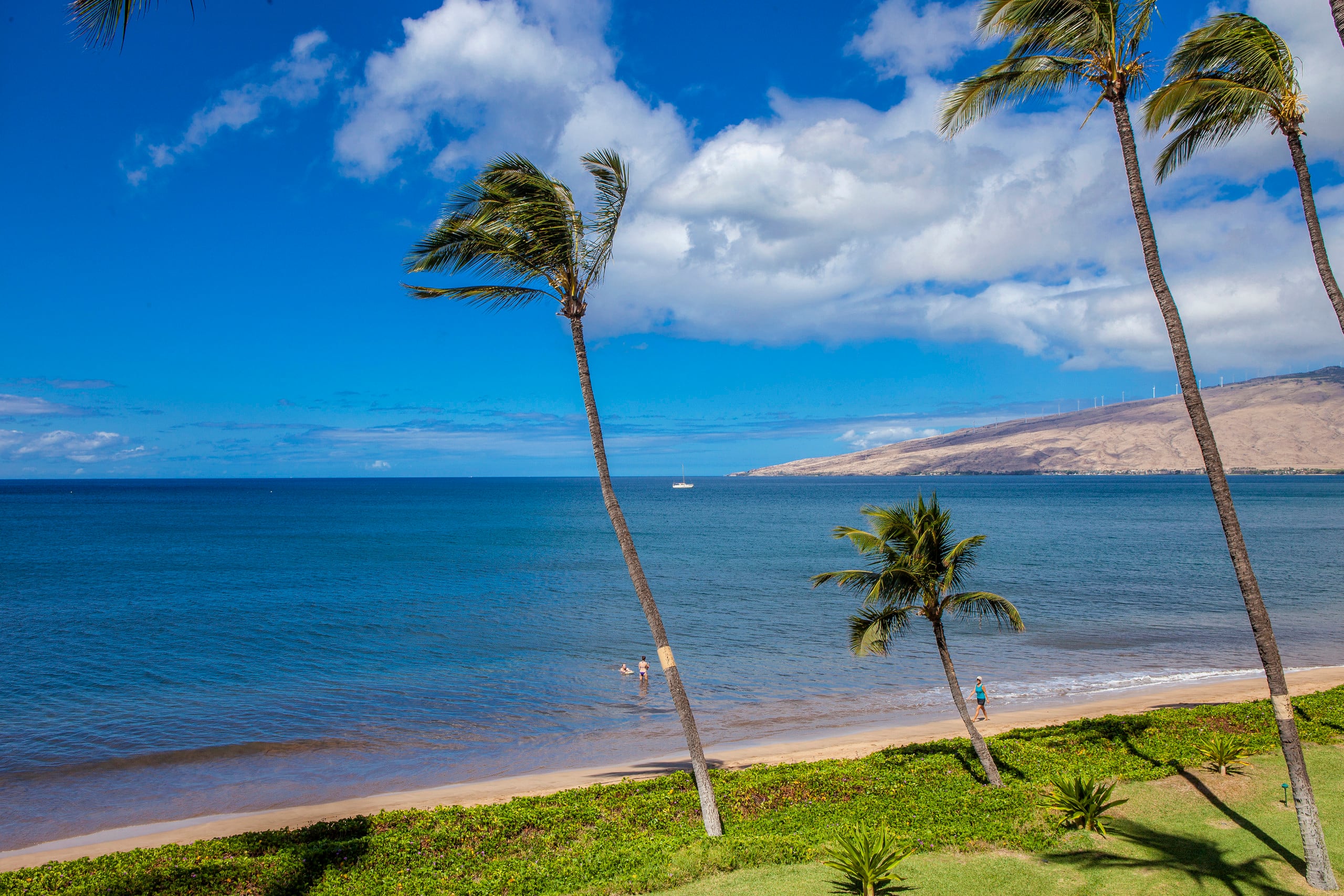 Condo in Kihei · ★4.83 · 1 bedroom · 2 beds · 1 bath - Image 38