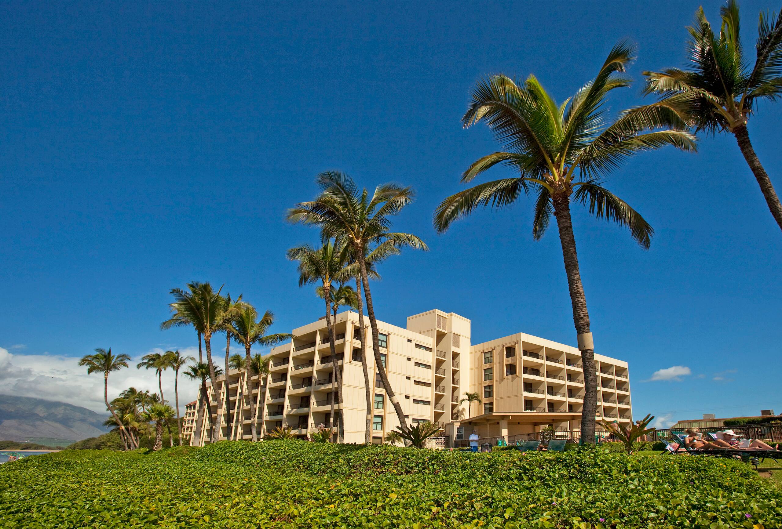 Condo in Kihei · ★4.83 · 1 bedroom · 2 beds · 1 bath - Image 30