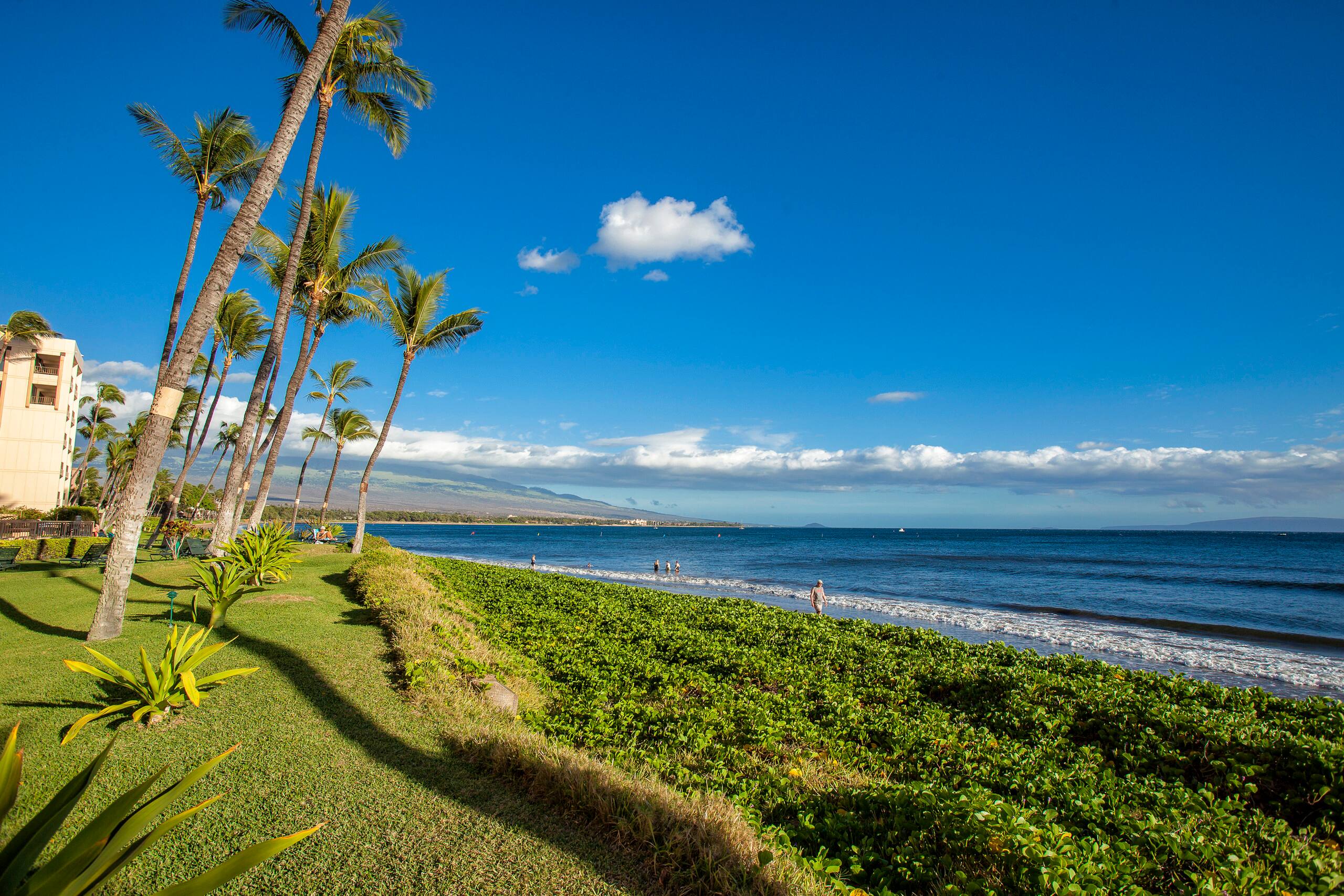 Condo in Kihei · ★4.93 · 1 bedroom · 1 bed · 1 bath - Image 26