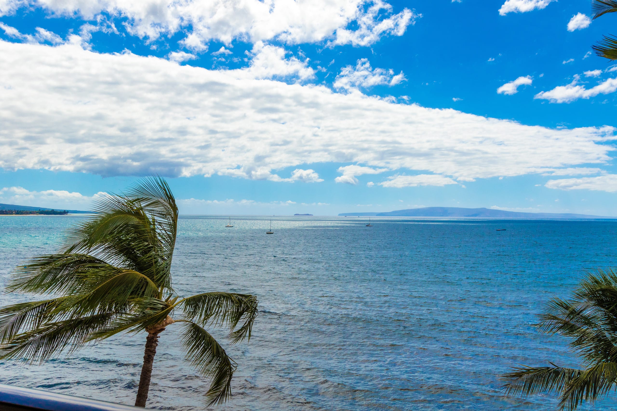 Condo in Kihei · ★4.93 · 1 bedroom · 1 bed · 1 bath - Image 15