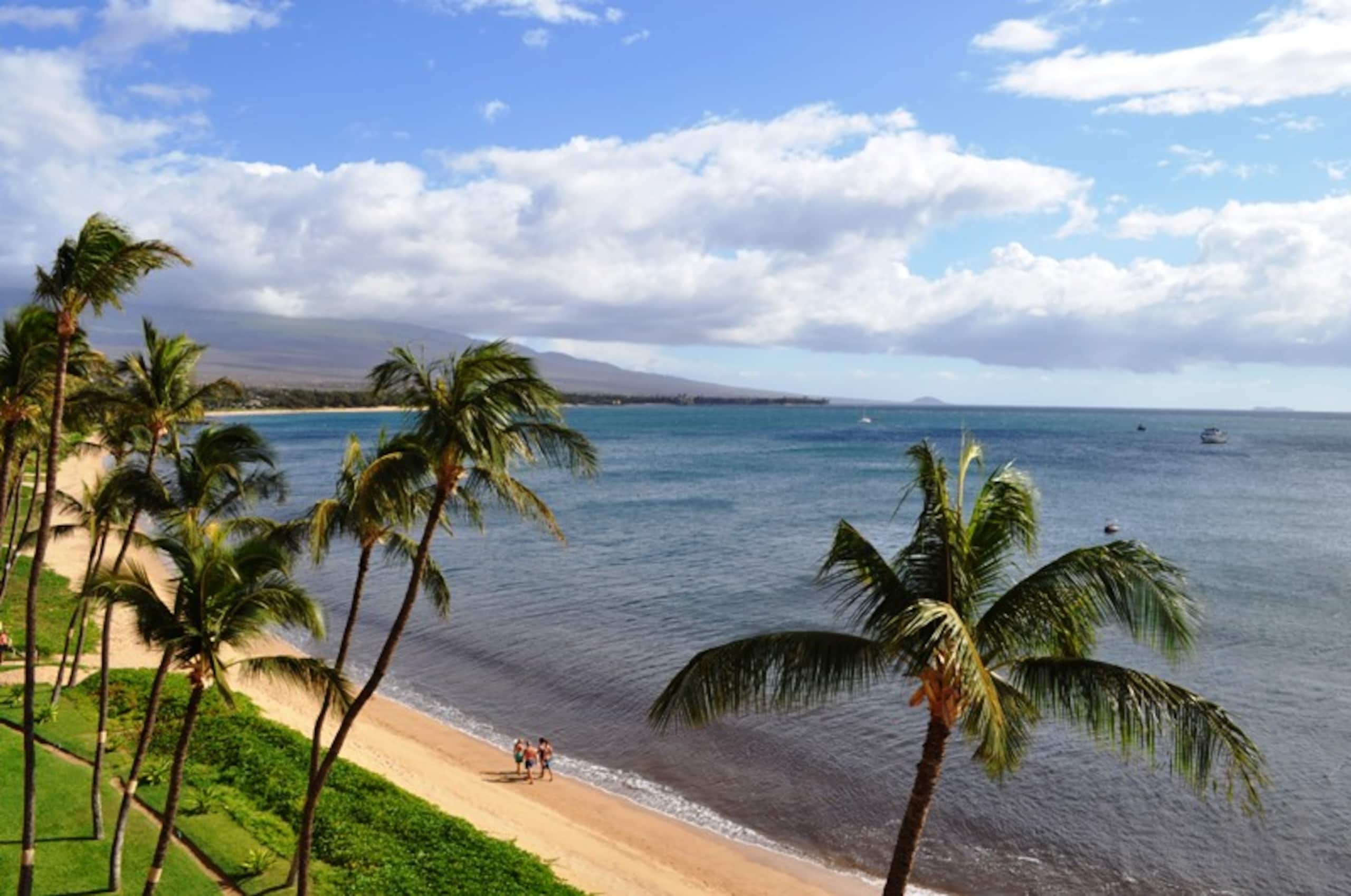 Condo in Kihei · ★4.93 · 1 bedroom · 1 bed · 1 bath - Image 14