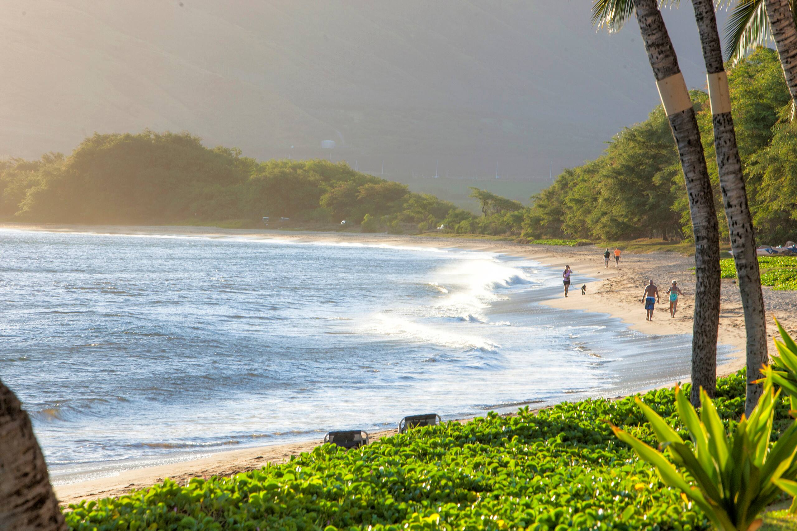 Condo in Kihei · ★4.93 · 1 bedroom · 1 bed · 1 bath - Image 27