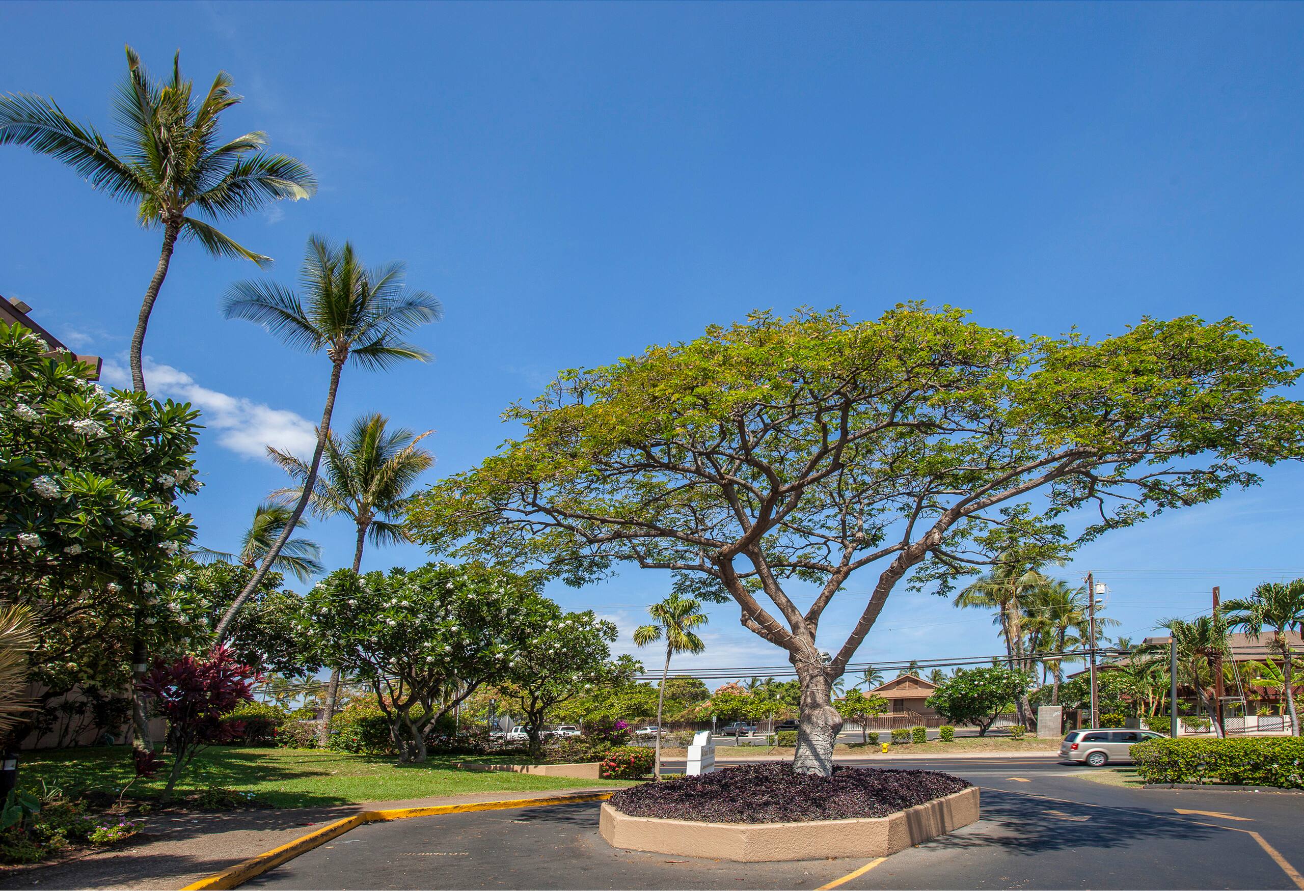 Condo in Kihei · ★4.5 · 1 bedroom · 2 beds · 1 shared bath - Image 28