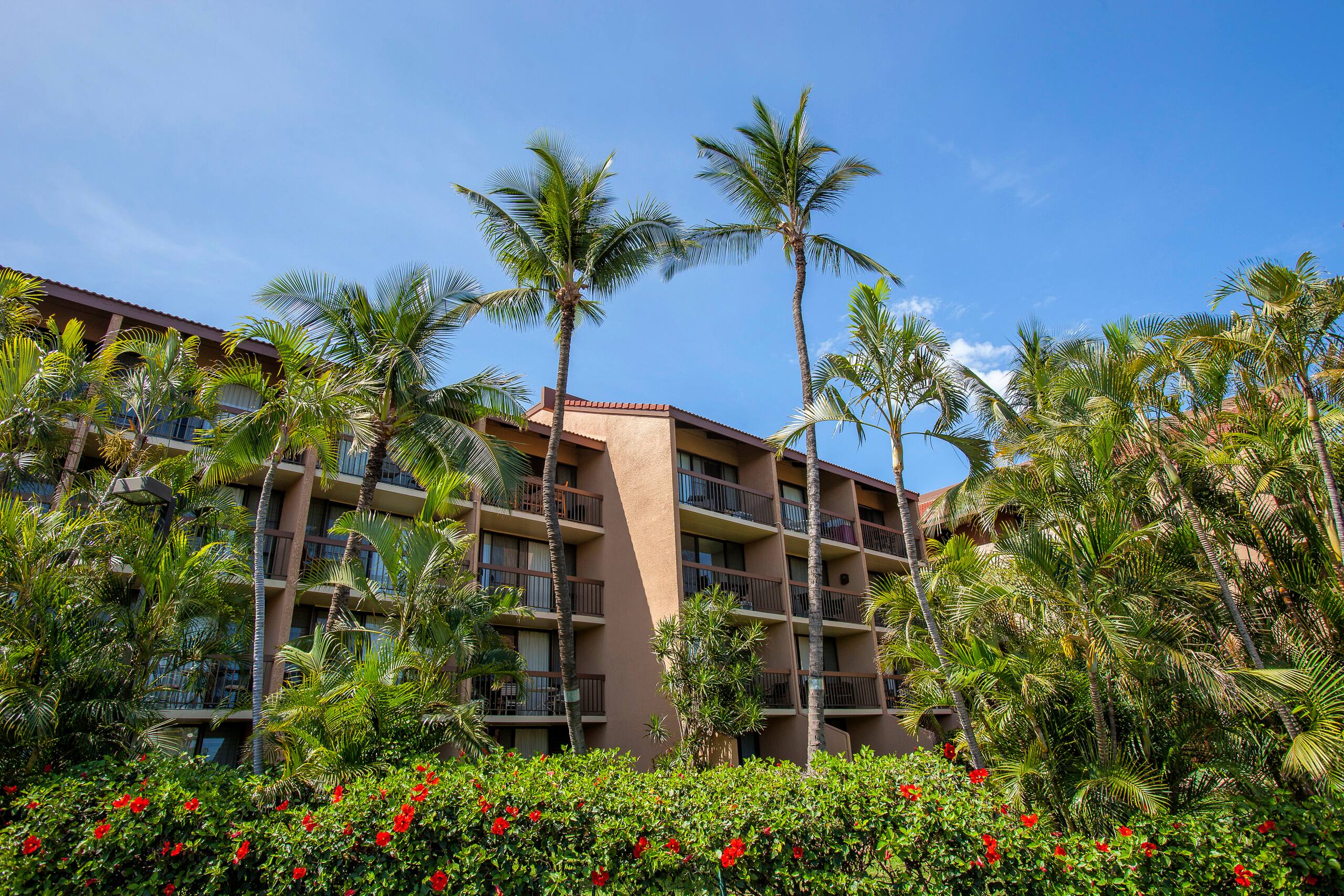 Condo in Kihei · ★4.5 · 1 bedroom · 2 beds · 1 shared bath - Image 29