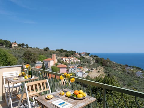 Successful Airbnb property: Francesca (SLR212) by Interhome in Cipressa
