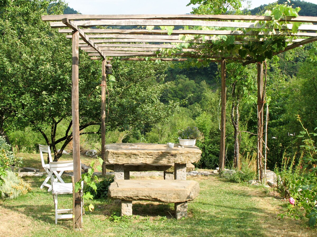 An outdoor area is featured with a rustic stone table and seating, surrounded by greenery and trees. A wooden pergola provides partial shade, while sunlight filters through the leaves, enhancing the serene atmosphere. The landscape showcases a picturesque view of the nearby hills.