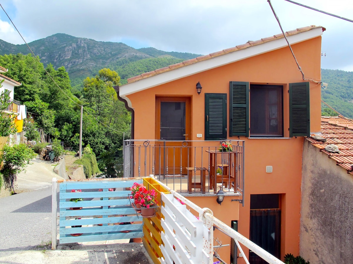 The exterior of the apartment is visible, showcasing a two-story structure painted in warm orange. Green shutters frame the windows, which overlook a small balcony. A wooden fence with planters filled with flowers adds a touch of color, while hills in the background suggest a serene rural setting.