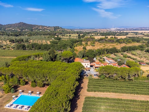 Proprietà Airbnb di successo: Trilocale - Ranch Hotel by Interhome a Scarlino