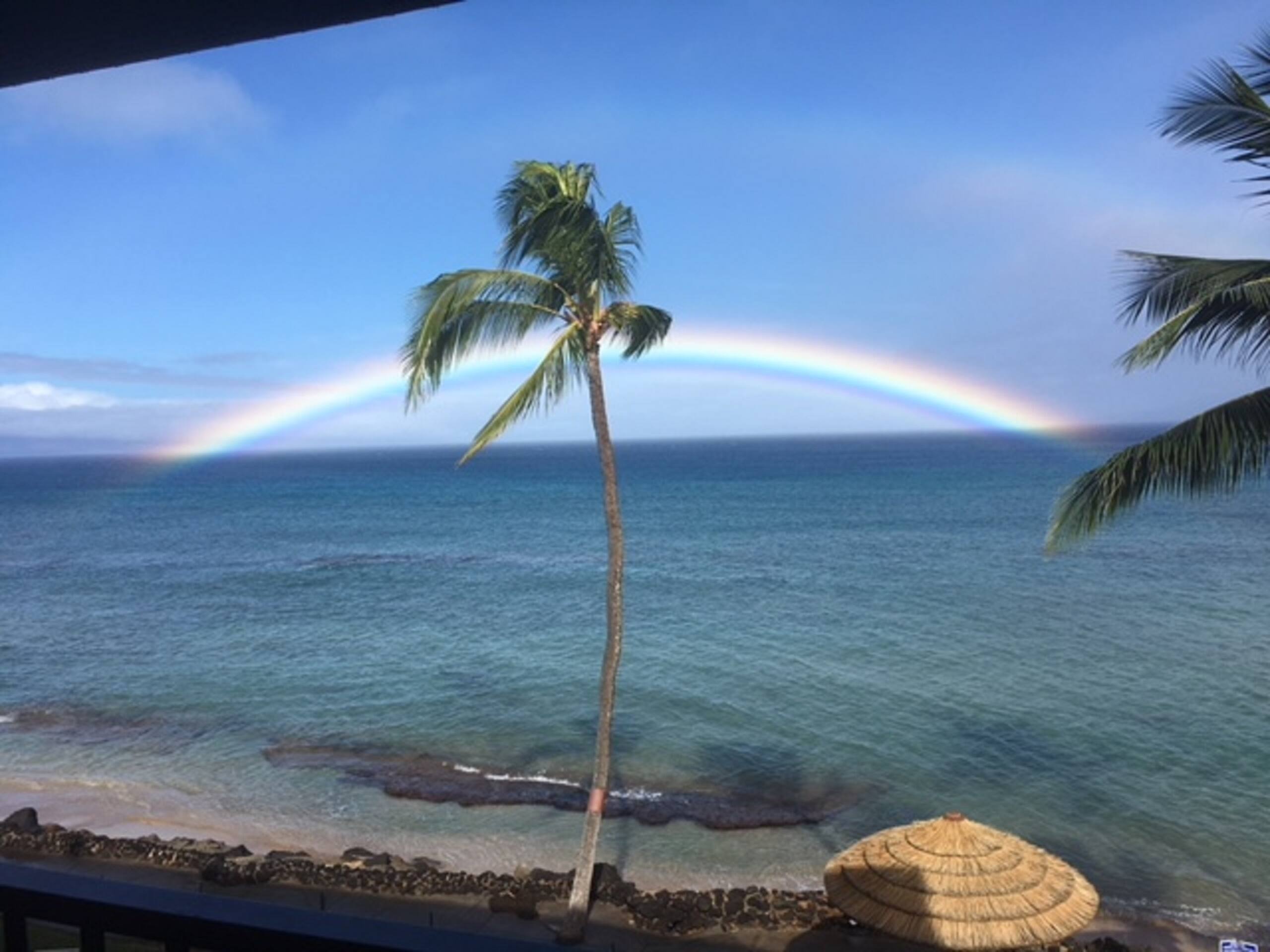 Condo in Lahaina · ★4.87 · 1 bedroom · 1 bed · 1 bath - Image 40