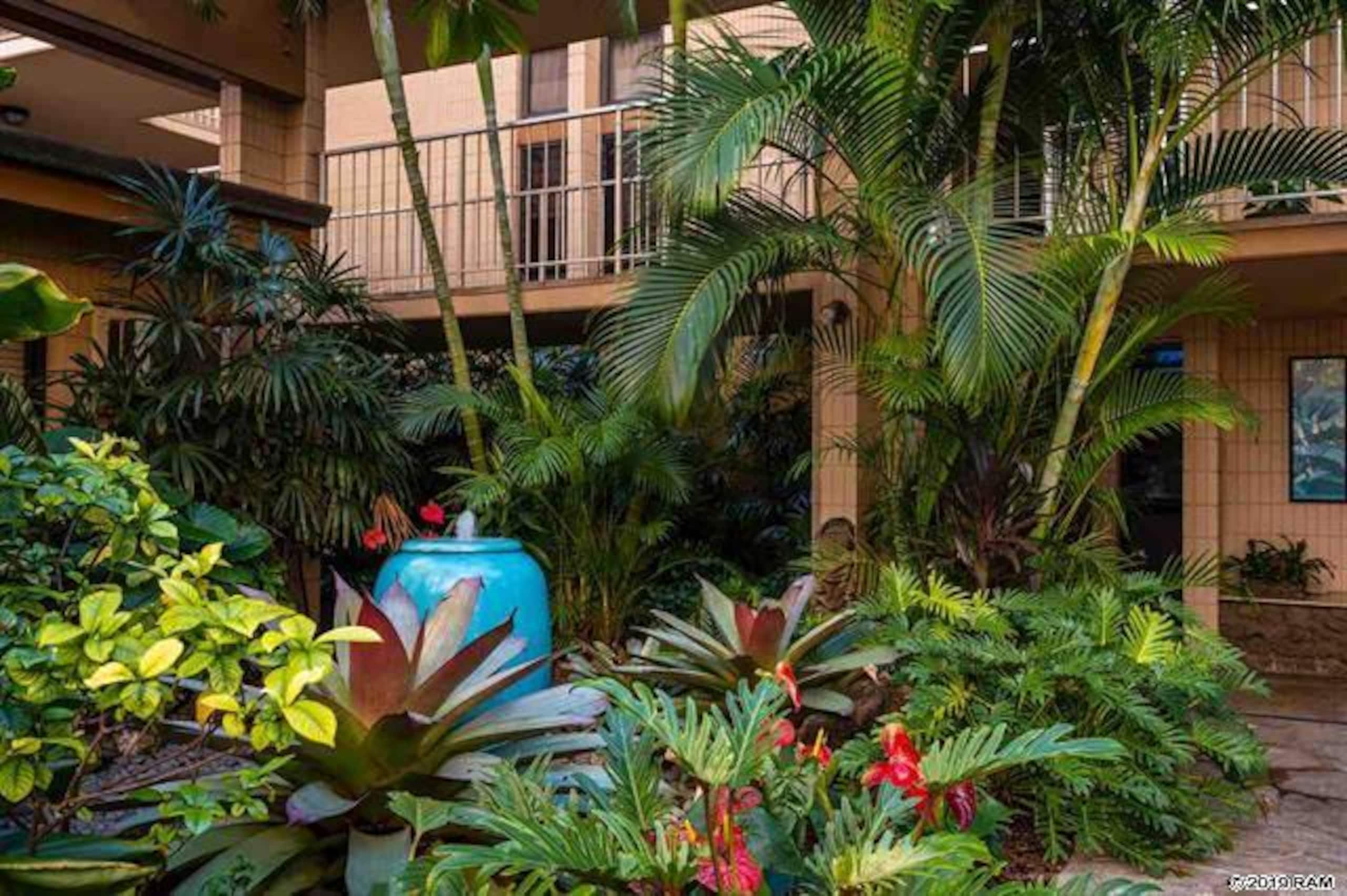 Condo in Lahaina · ★4.87 · 1 bedroom · 1 bed · 1 bath - Image 39