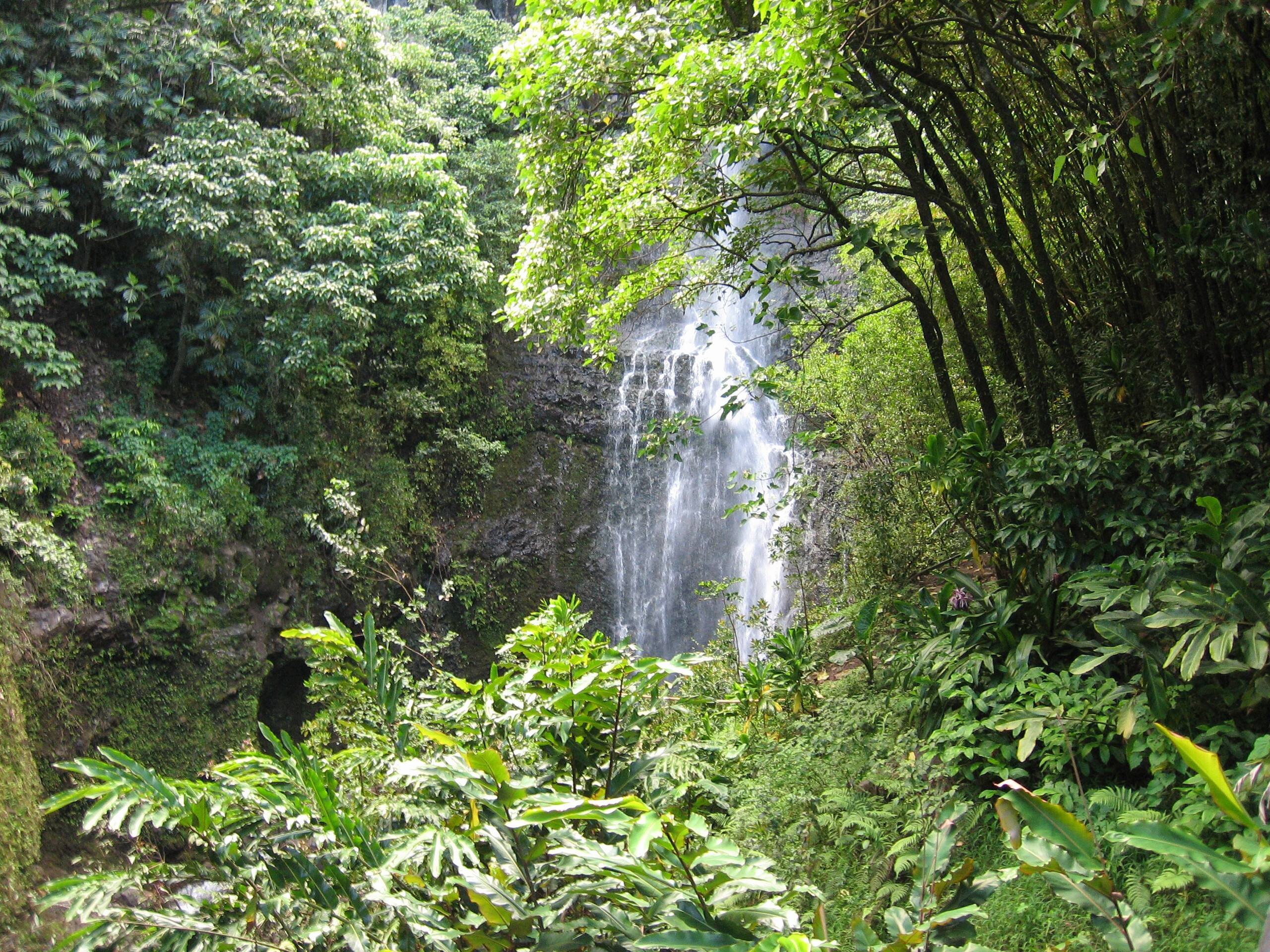 Condo in Lahaina · ★4.87 · 1 bedroom · 1 bed · 1 bath - Image 49