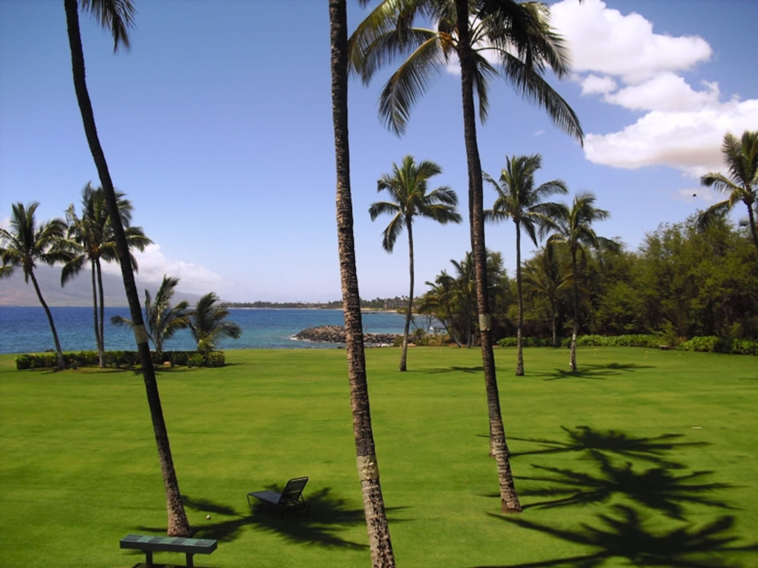 Condo in Kihei · ★4.67 · 1 bedroom · 2 beds · 1.5 baths - Image 30