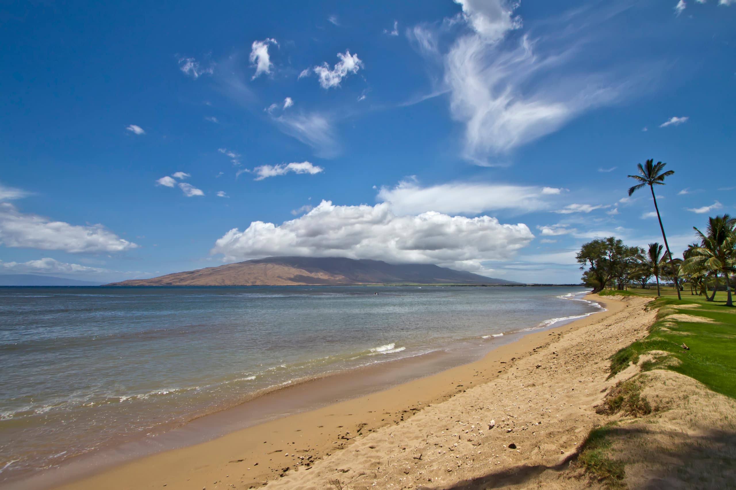 Condo in Kihei · ★4.67 · 1 bedroom · 2 beds · 1 shared bath - Image 37