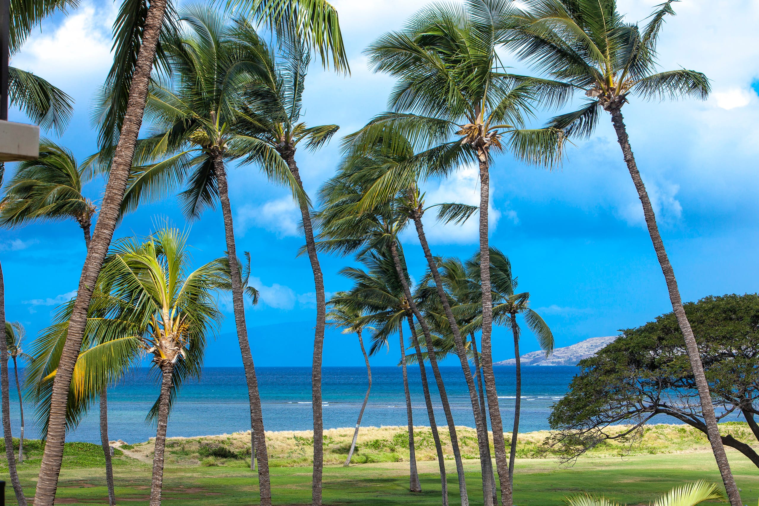 Condo in Kihei · ★4.67 · 1 bedroom · 2 beds · 1 shared bath - Image 41