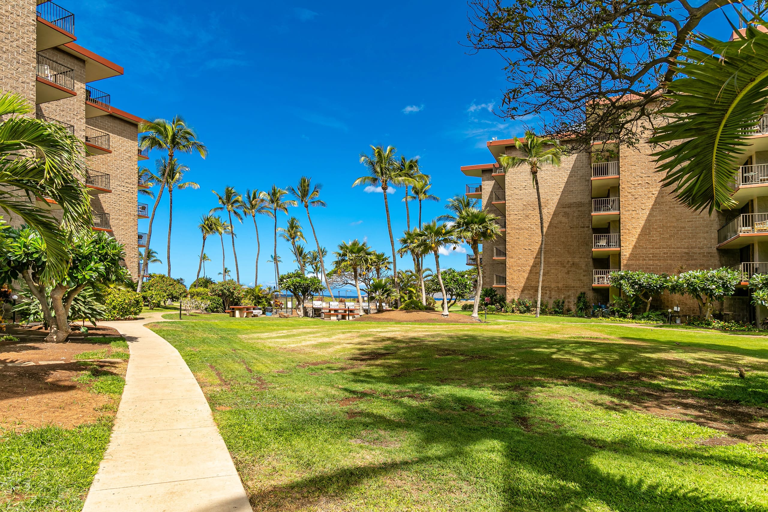 Condo in Kihei · ★4.67 · 1 bedroom · 2 beds · 1 shared bath - Image 6