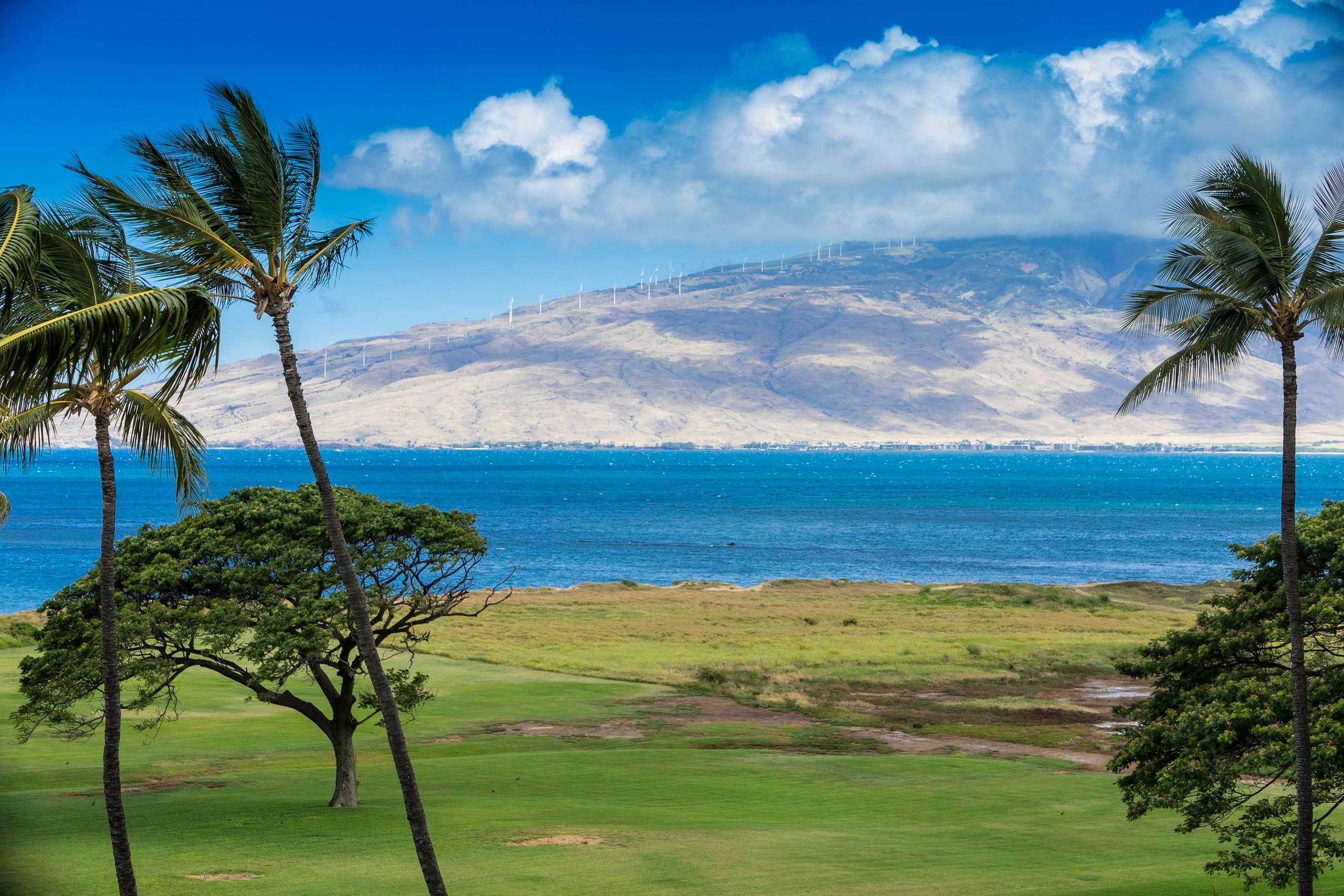 Condo in Kihei · ★4.67 · 1 bedroom · 2 beds · 1 shared bath - Image 20
