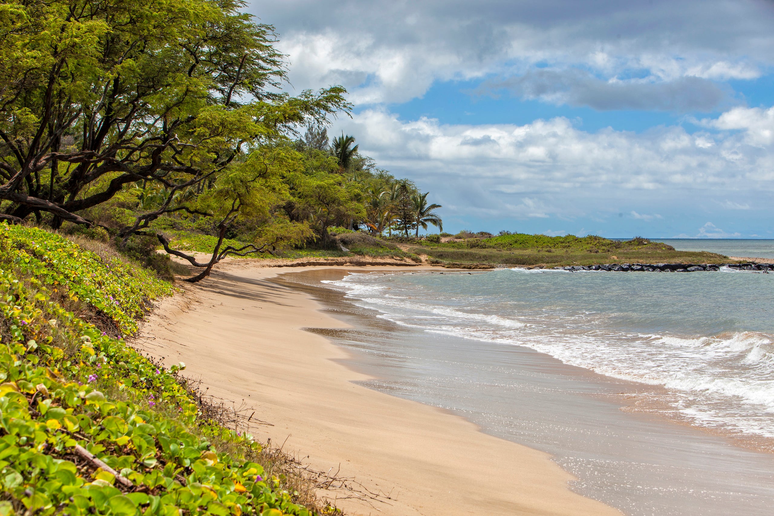 Condo in Kihei · ★4.67 · 1 bedroom · 2 beds · 1 shared bath - Image 19