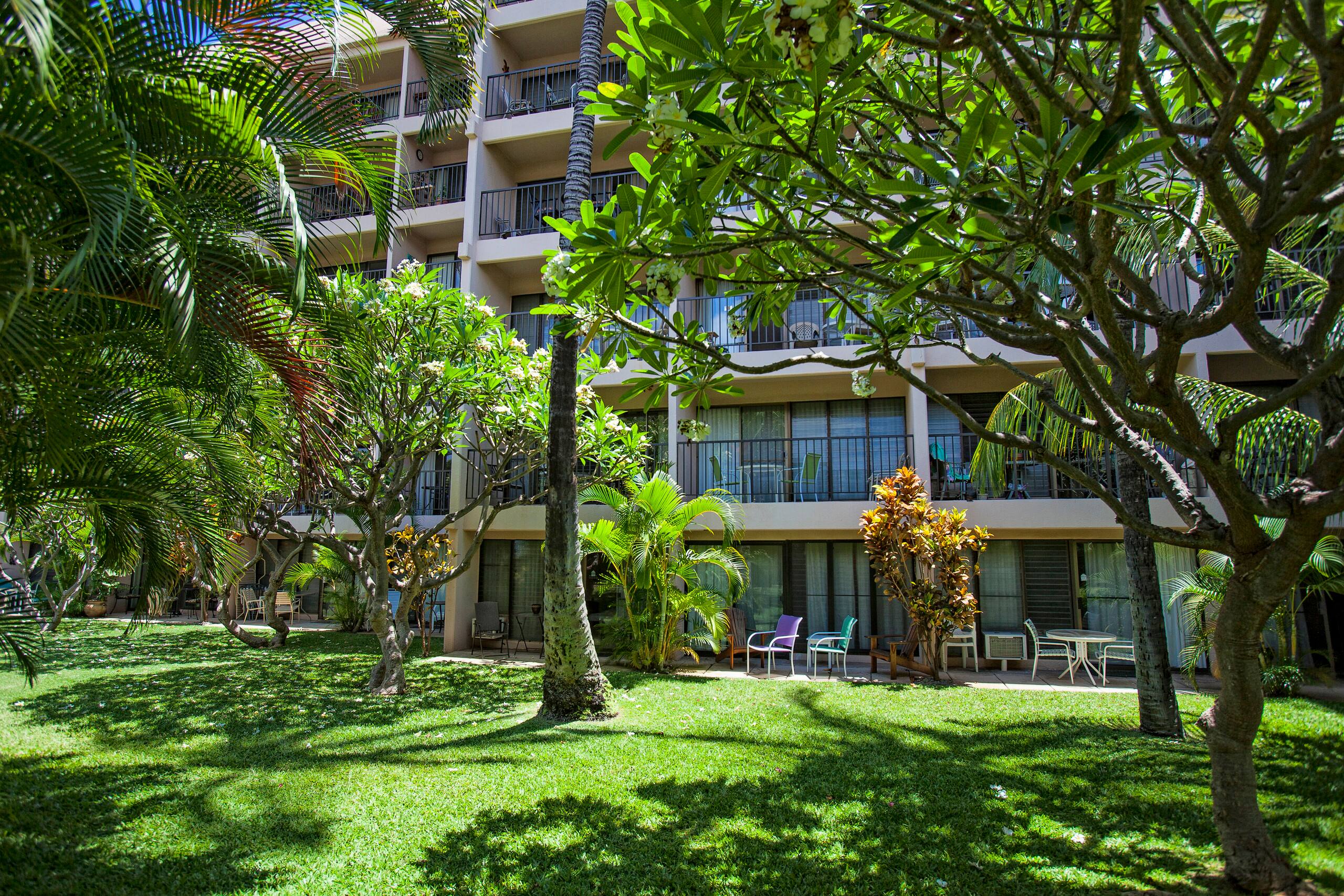 Condo in Kihei · ★4.75 · 1 bedroom · 1 bed · 1 bath - Image 30