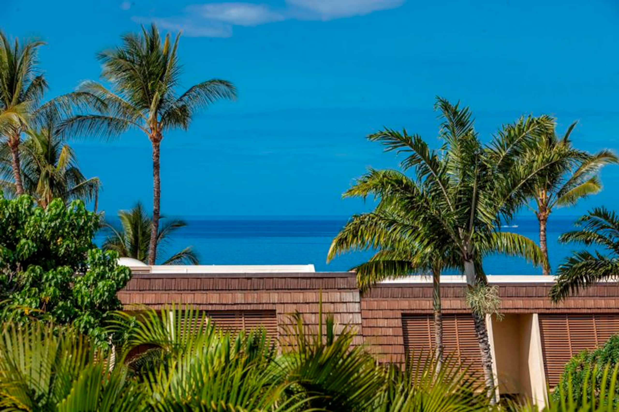 Condo in Kihei · ★5.0 · 2 bedrooms · 4 beds · 2 baths - Image 4
