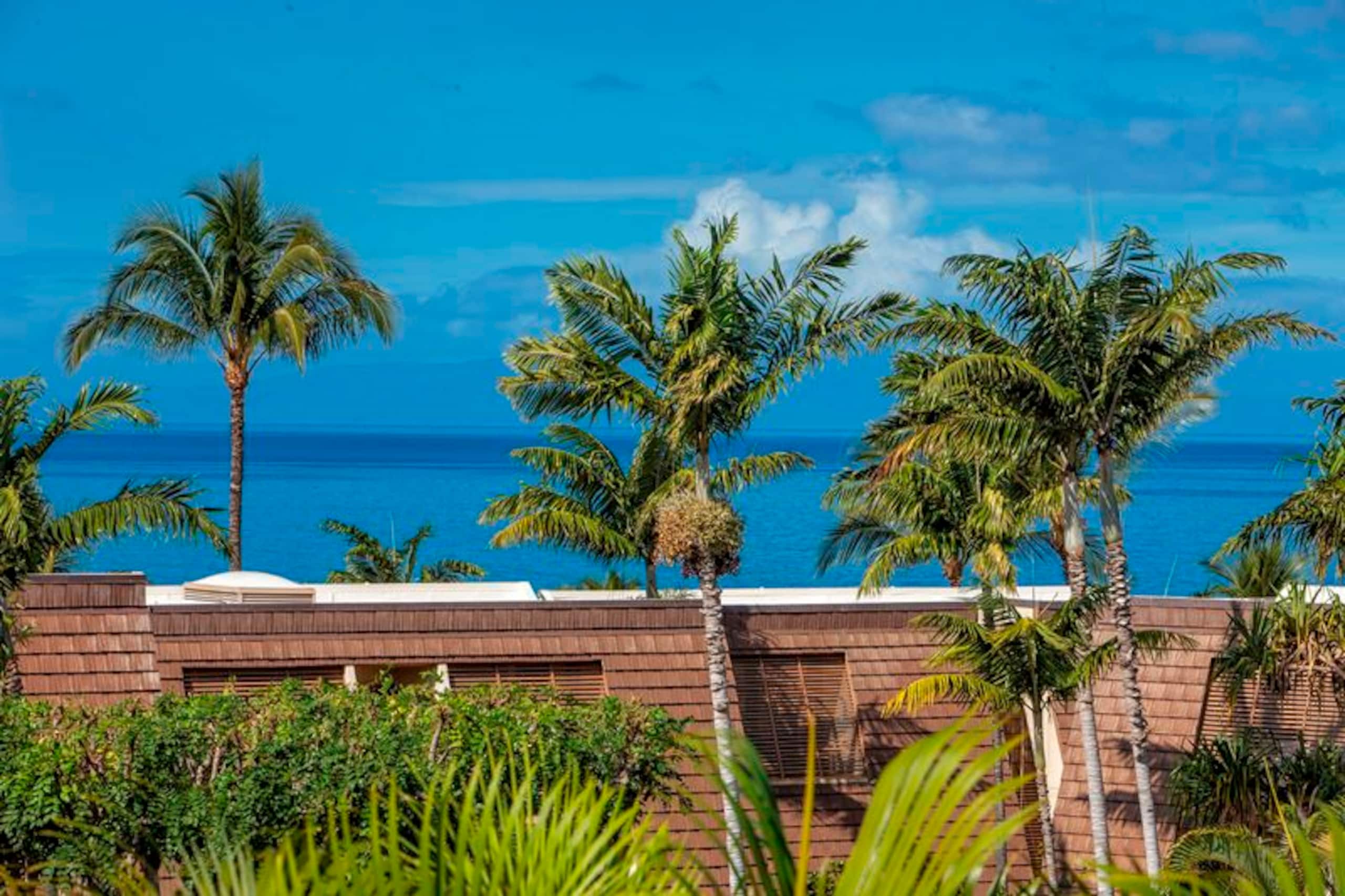 Condo in Kihei · ★5.0 · 2 bedrooms · 4 beds · 2 baths - Image 19