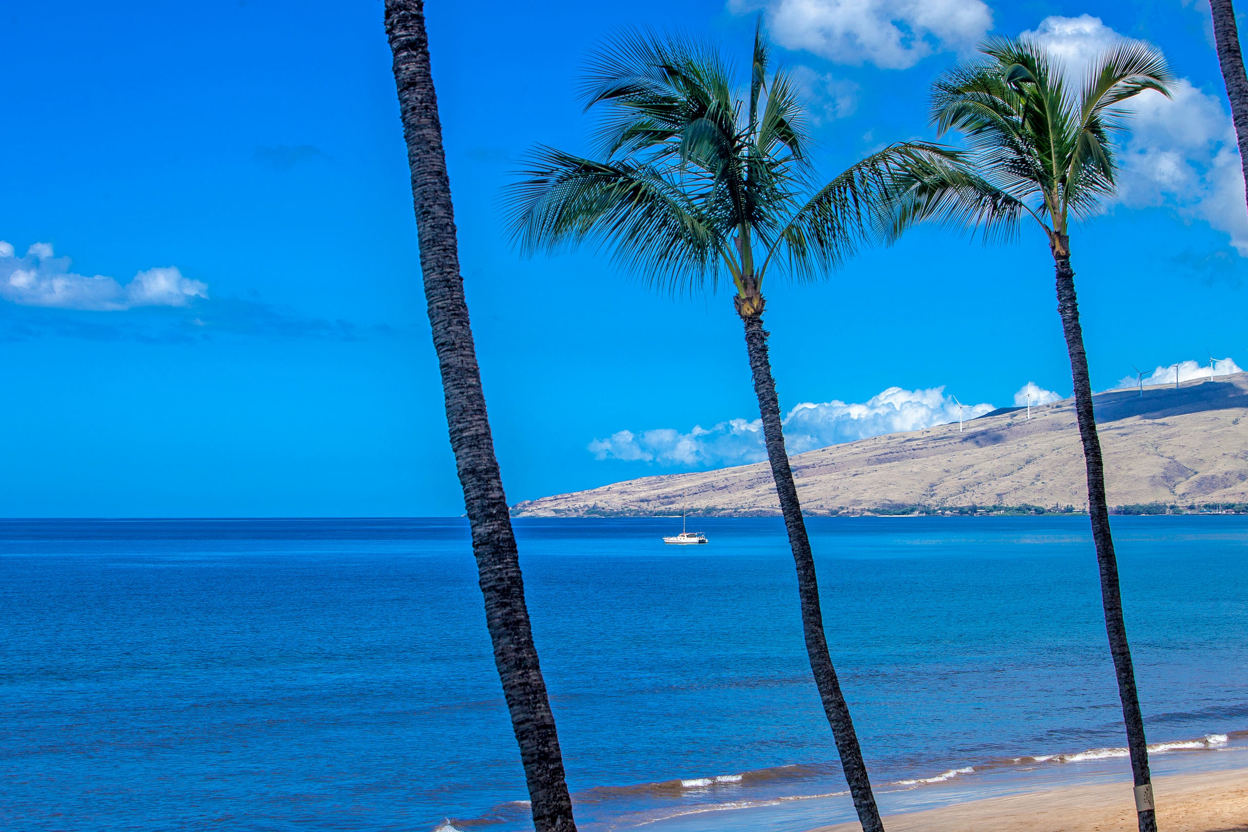 Condo in Kihei · ★4.75 · 1 bedroom · 1 bed · 1 bath - Image 35
