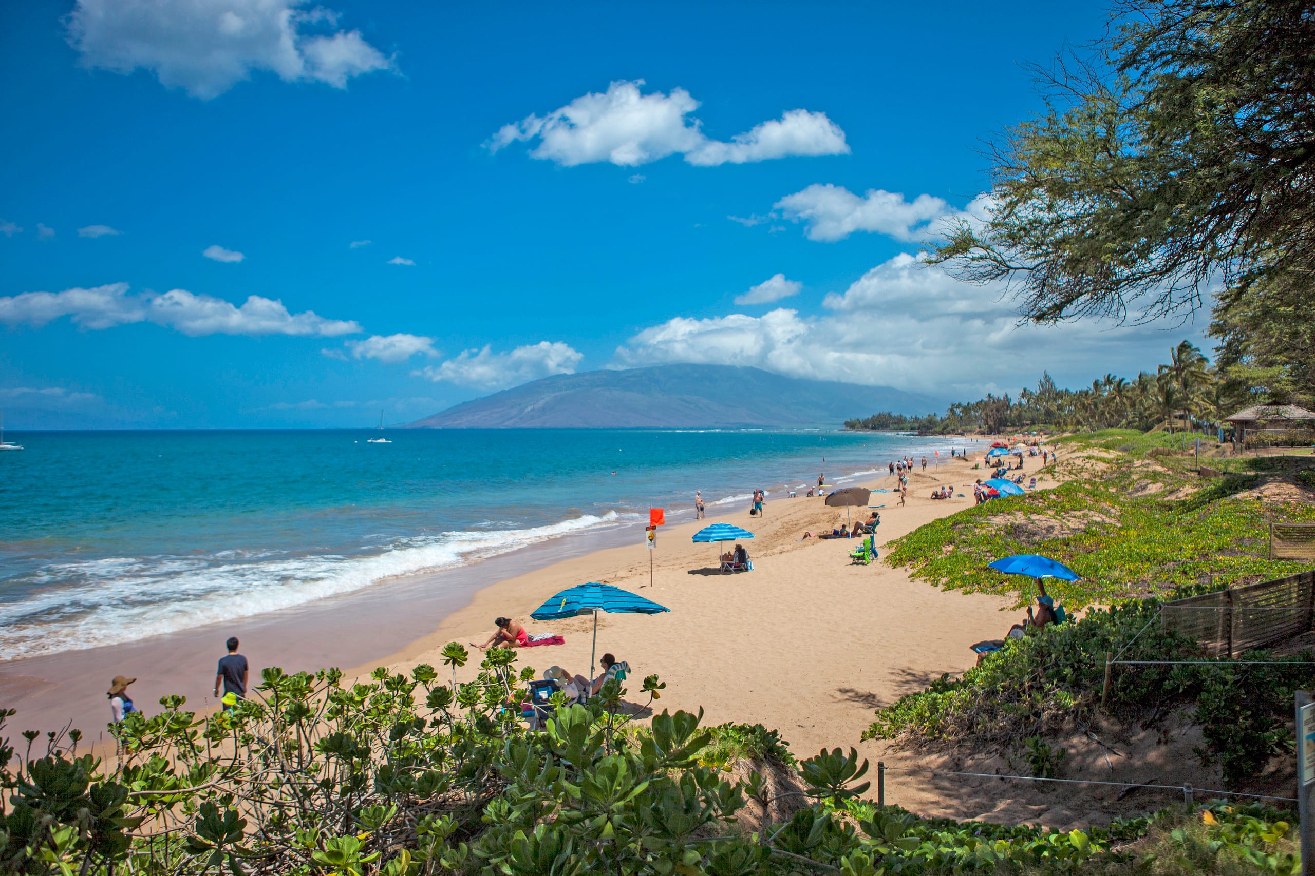 Condo in Kihei · ★4.33 · 2 bedrooms · 3 beds · 2 shared baths - Image 36