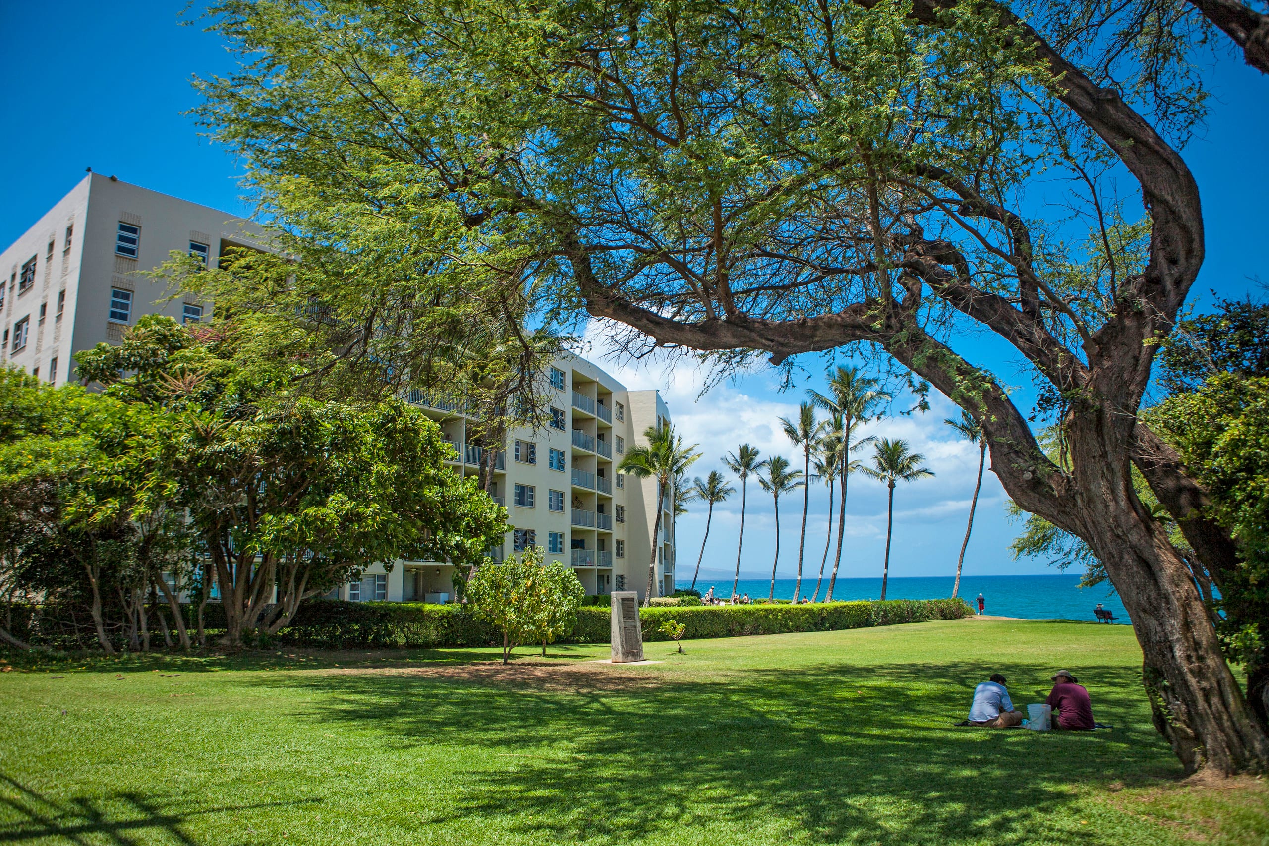 Condo in Kihei · ★4.33 · 2 bedrooms · 3 beds · 2 shared baths - Image 41