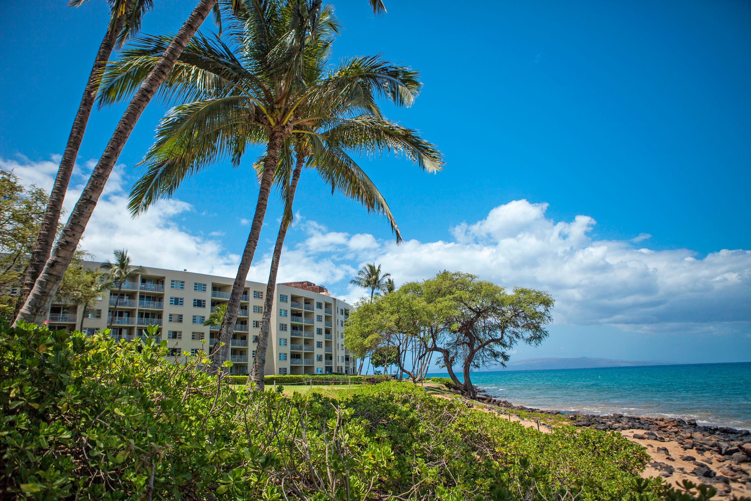 Condo in Kihei · ★4.33 · 2 bedrooms · 3 beds · 2 shared baths - Image 37