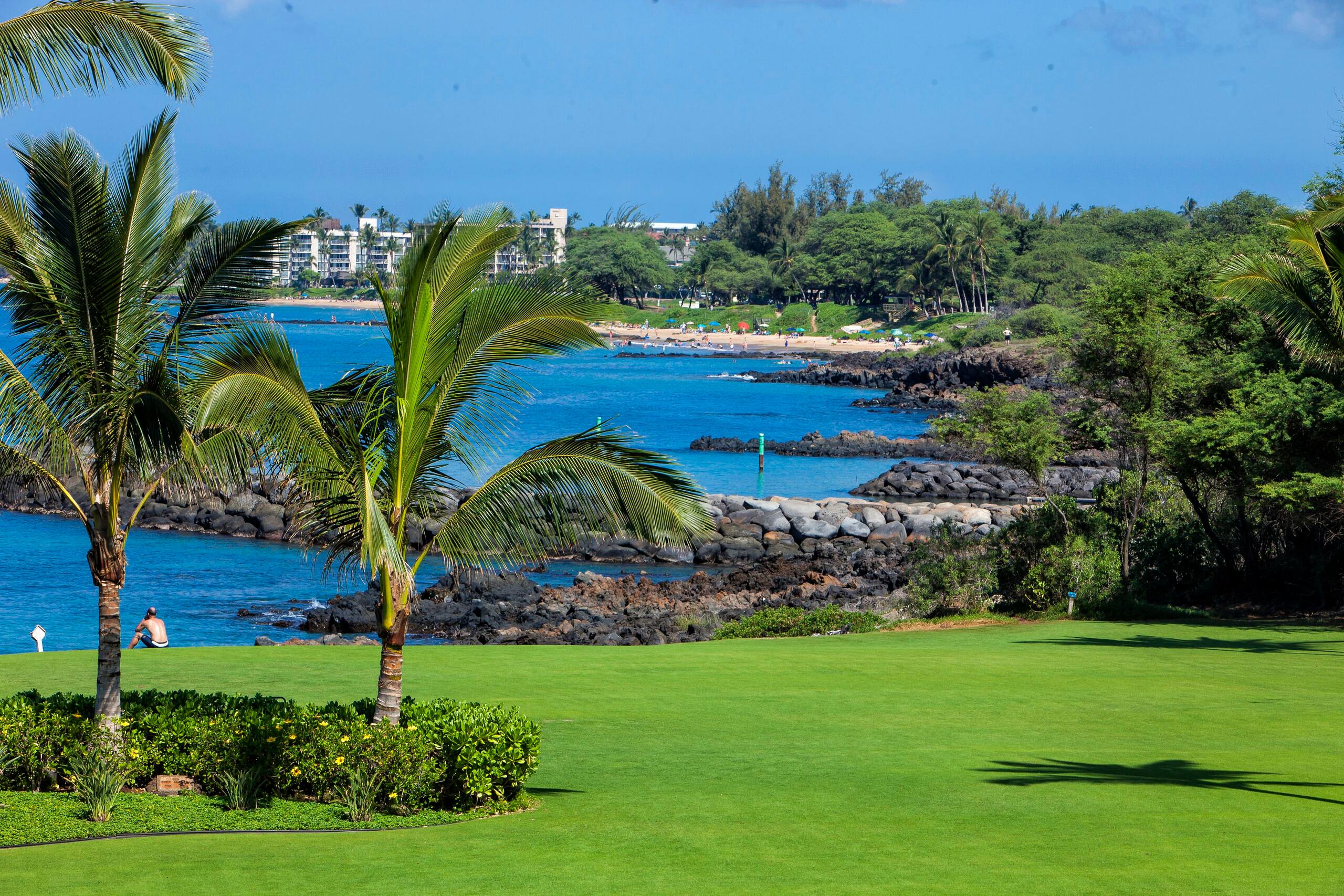 Condo in Kihei · ★4.79 · 1 bedroom · 2 beds · 1.5 baths - Image 37