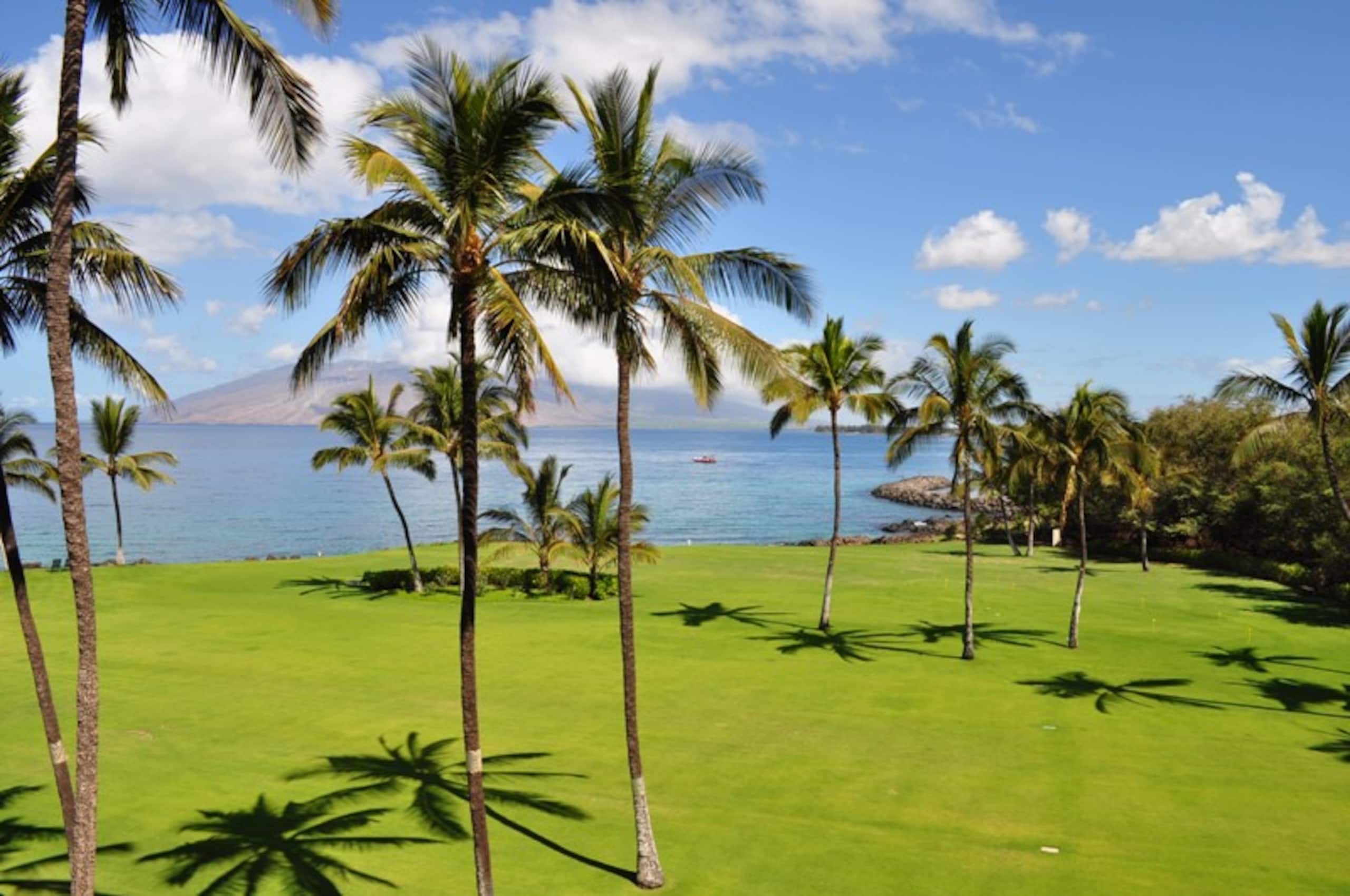 Condo in Kihei · ★4.79 · 1 bedroom · 2 beds · 1.5 baths - Image 32