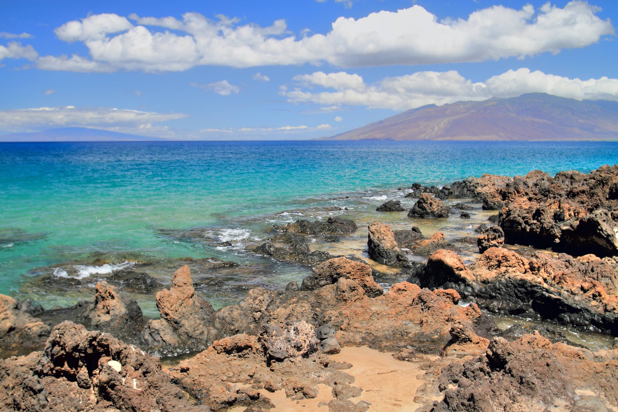 Condo in Kihei · ★4.79 · 1 bedroom · 2 beds · 1.5 baths - Image 36