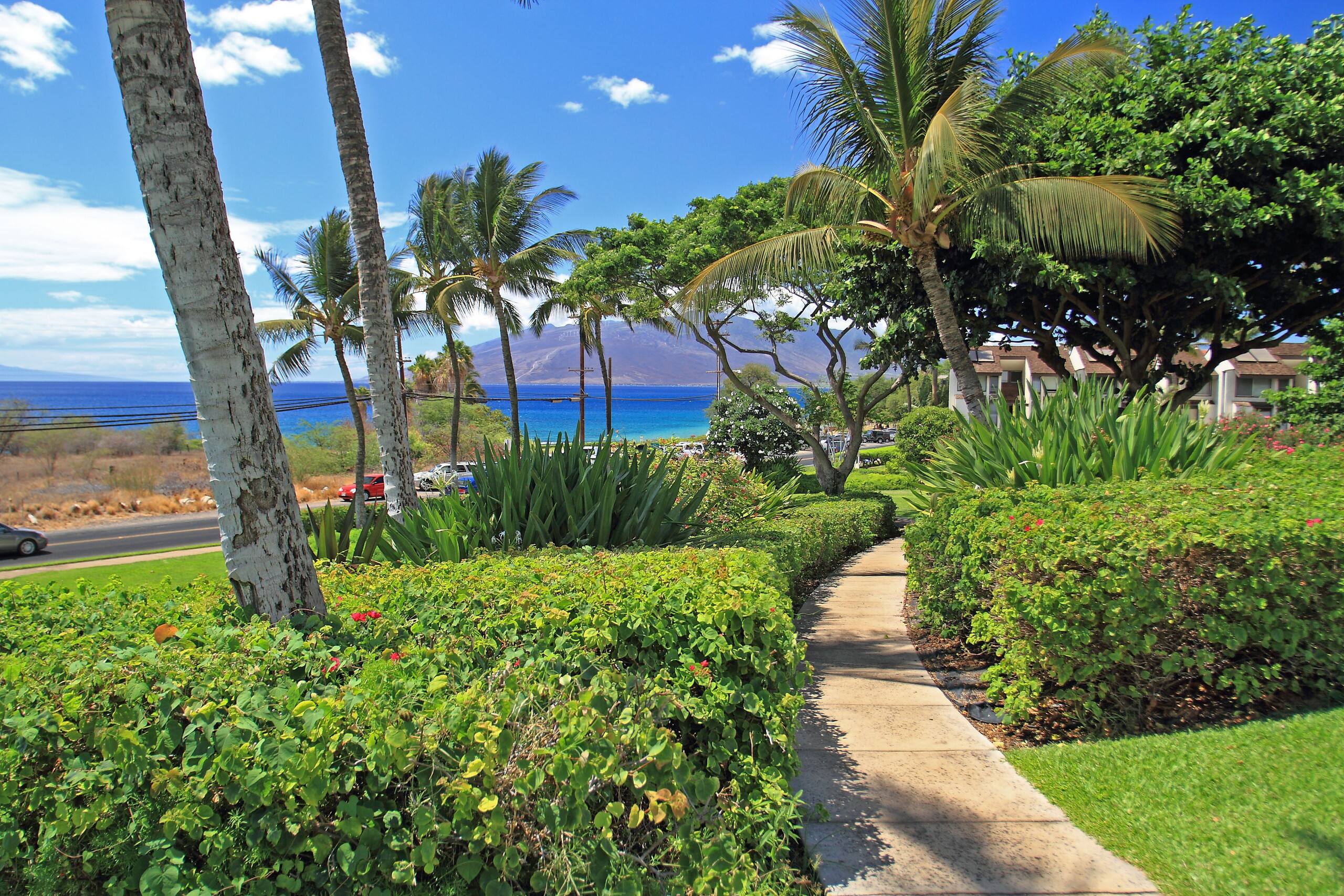 Condo in Kihei · ★4.5 · 1 bedroom · 2 beds · 2 baths - Image 44