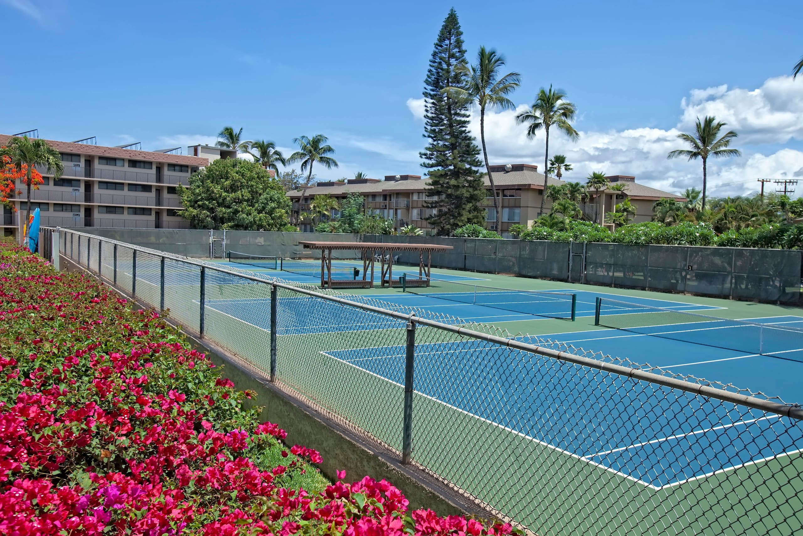 Condo in Kihei · ★4.5 · 2 bedrooms · 4 beds · 2 baths - Image 41
