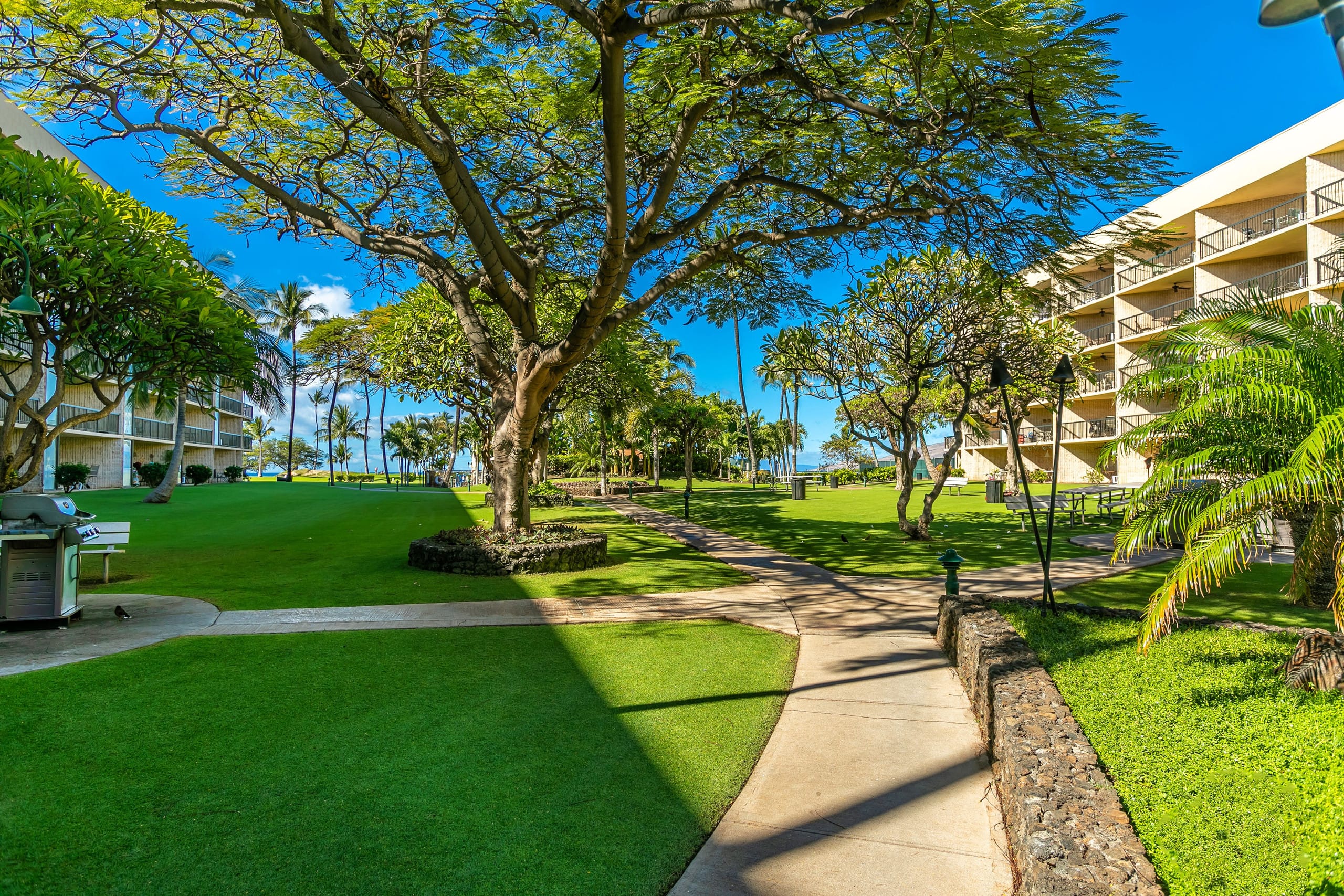 Condo in Kihei · ★4.7 · 2 bedrooms · 6 beds · 2 shared baths - Image 25