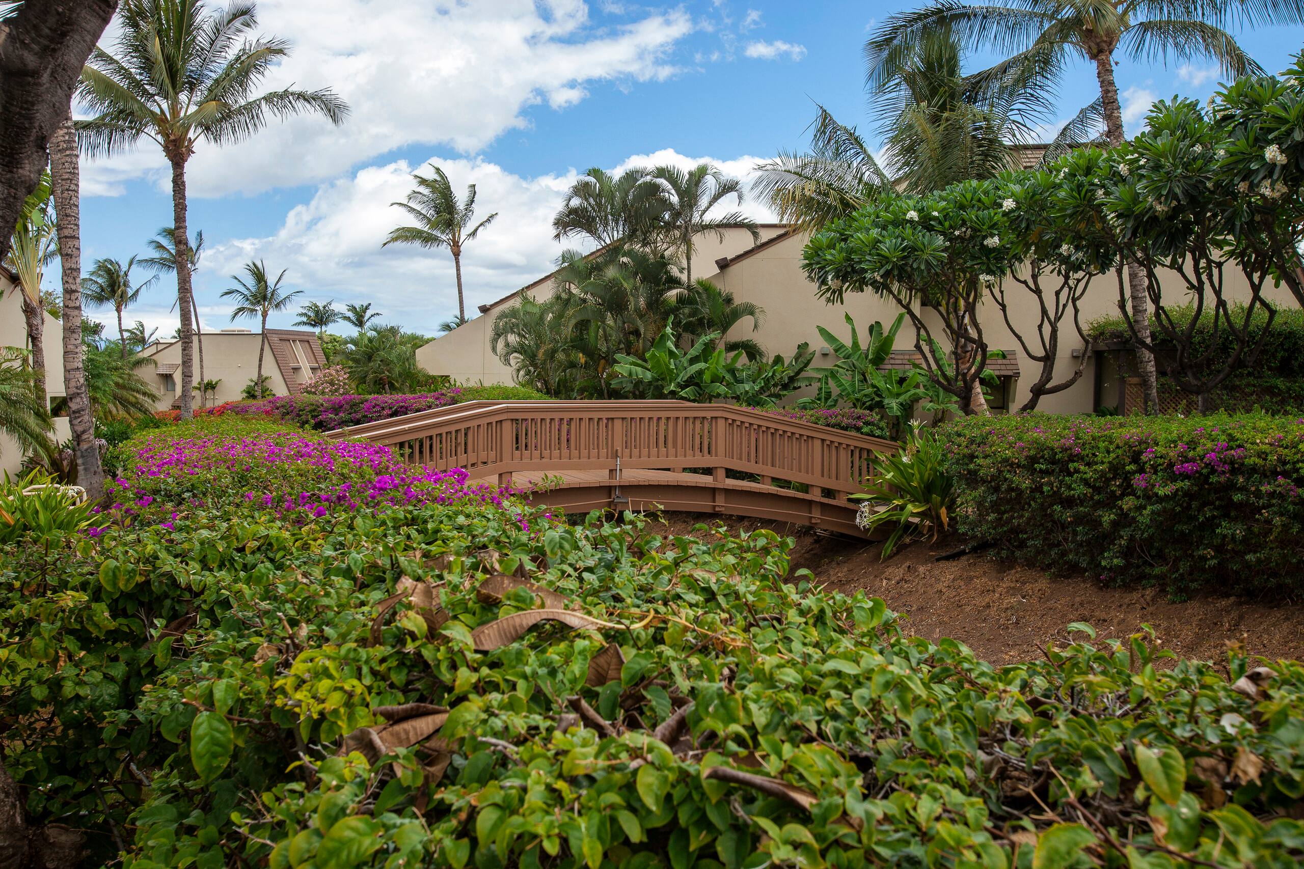Condo in Kihei · ★4.63 · 2 bedrooms · 2 beds · 2 baths - Image 50