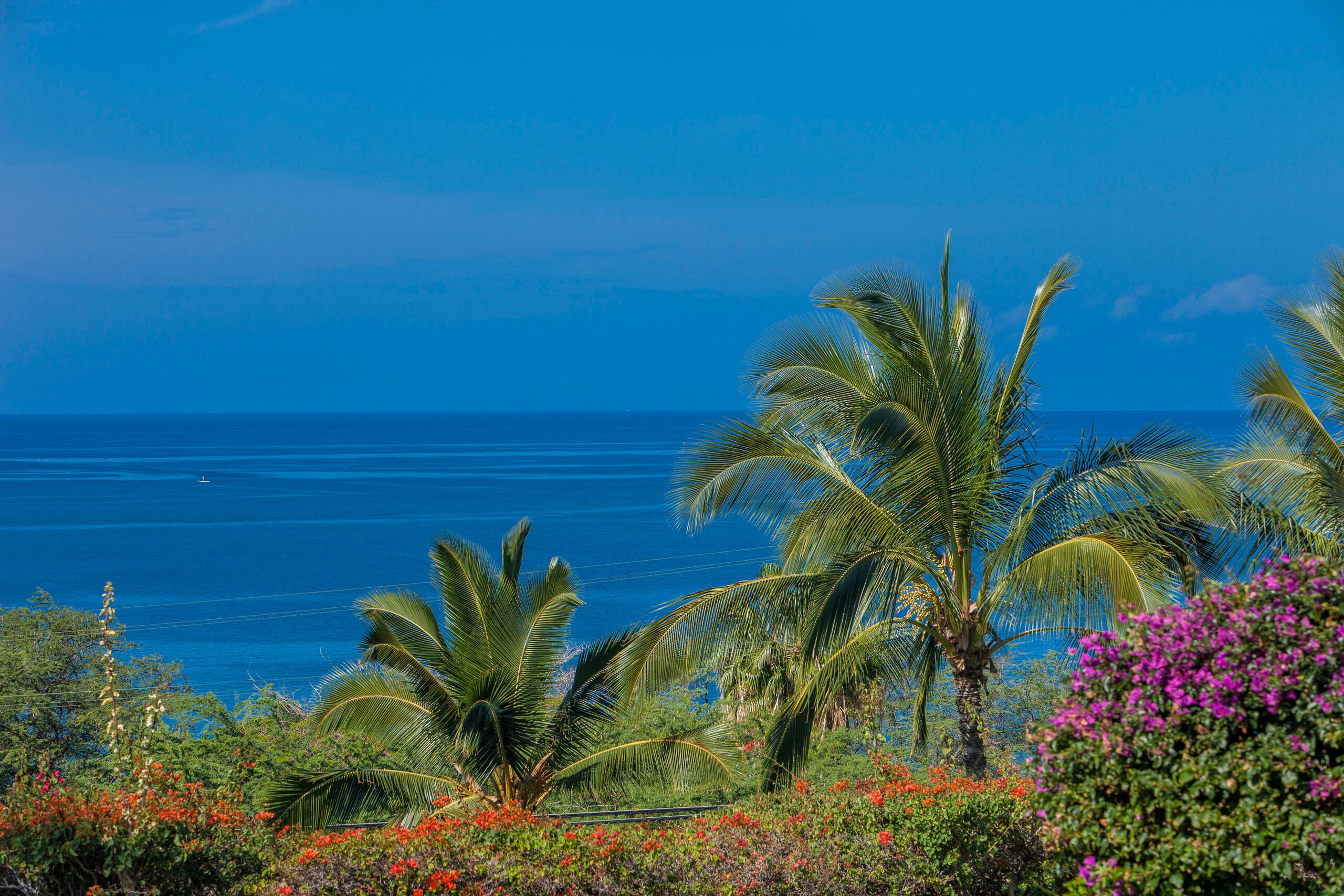 Condo in Kihei · ★4.63 · 2 bedrooms · 2 beds · 2 baths - Image 46