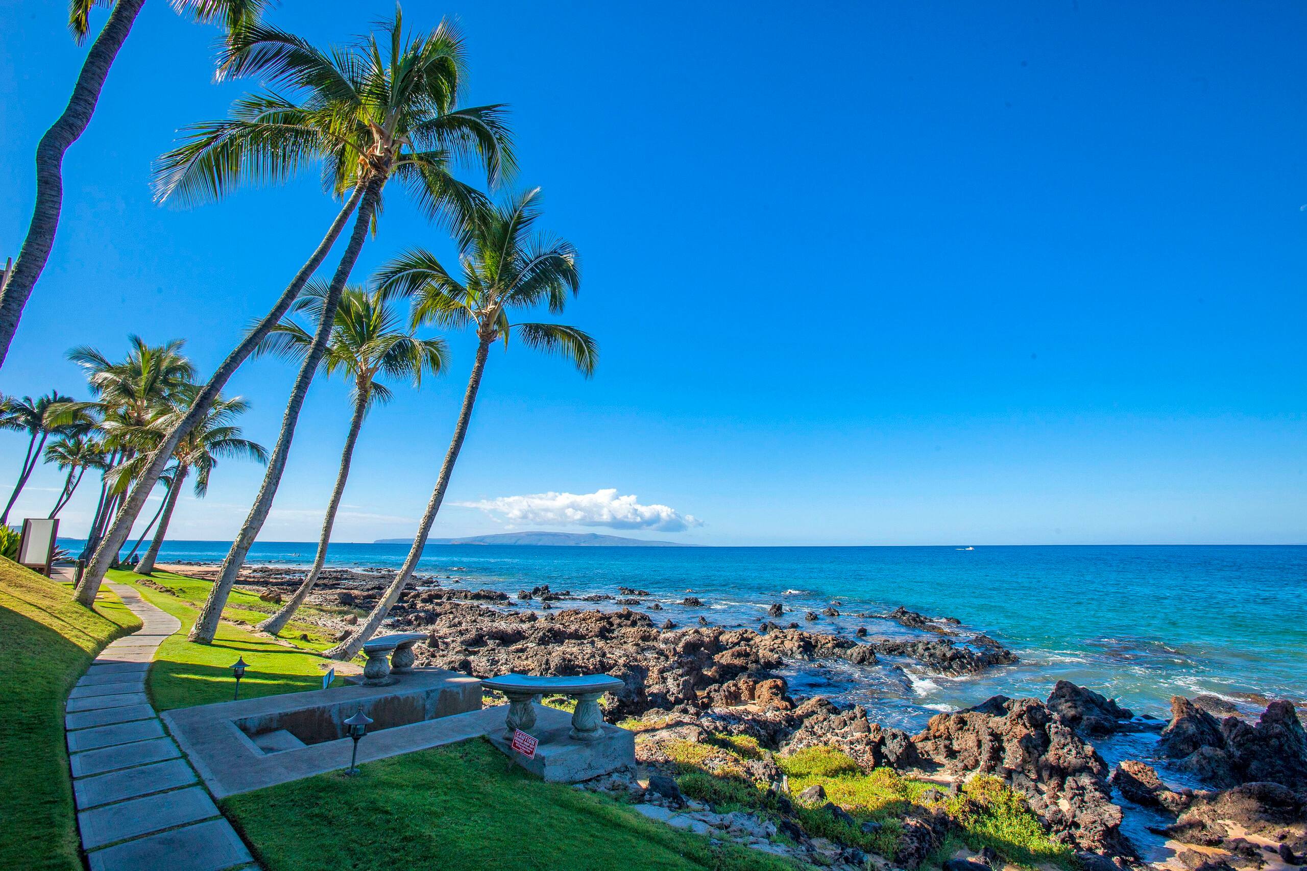 Condo in Kihei · ★4.63 · 1 bedroom · 2 beds · 1 bath - Image 27