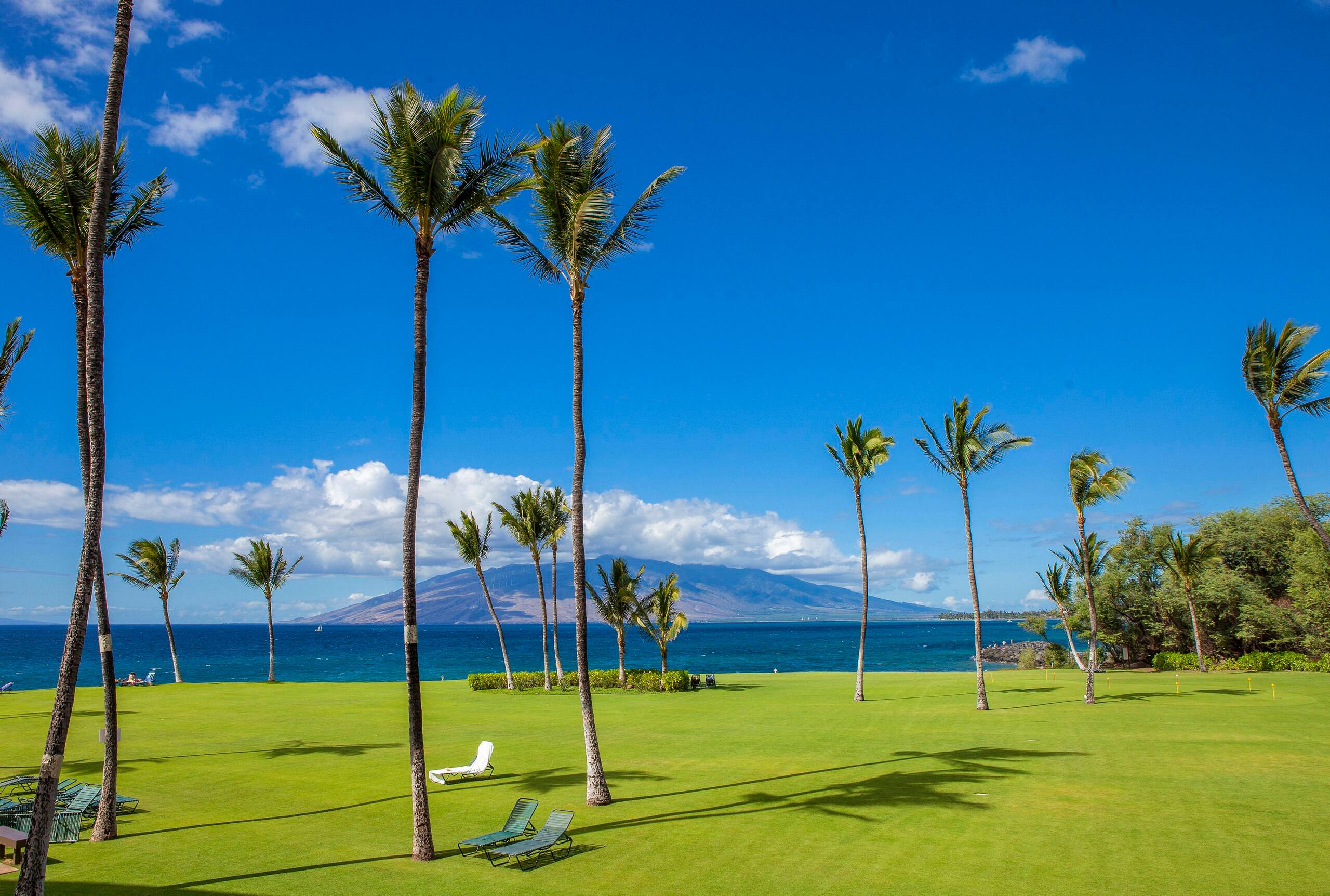 Condo in Kihei · ★4.63 · 1 bedroom · 2 beds · 1 bath - Image 40