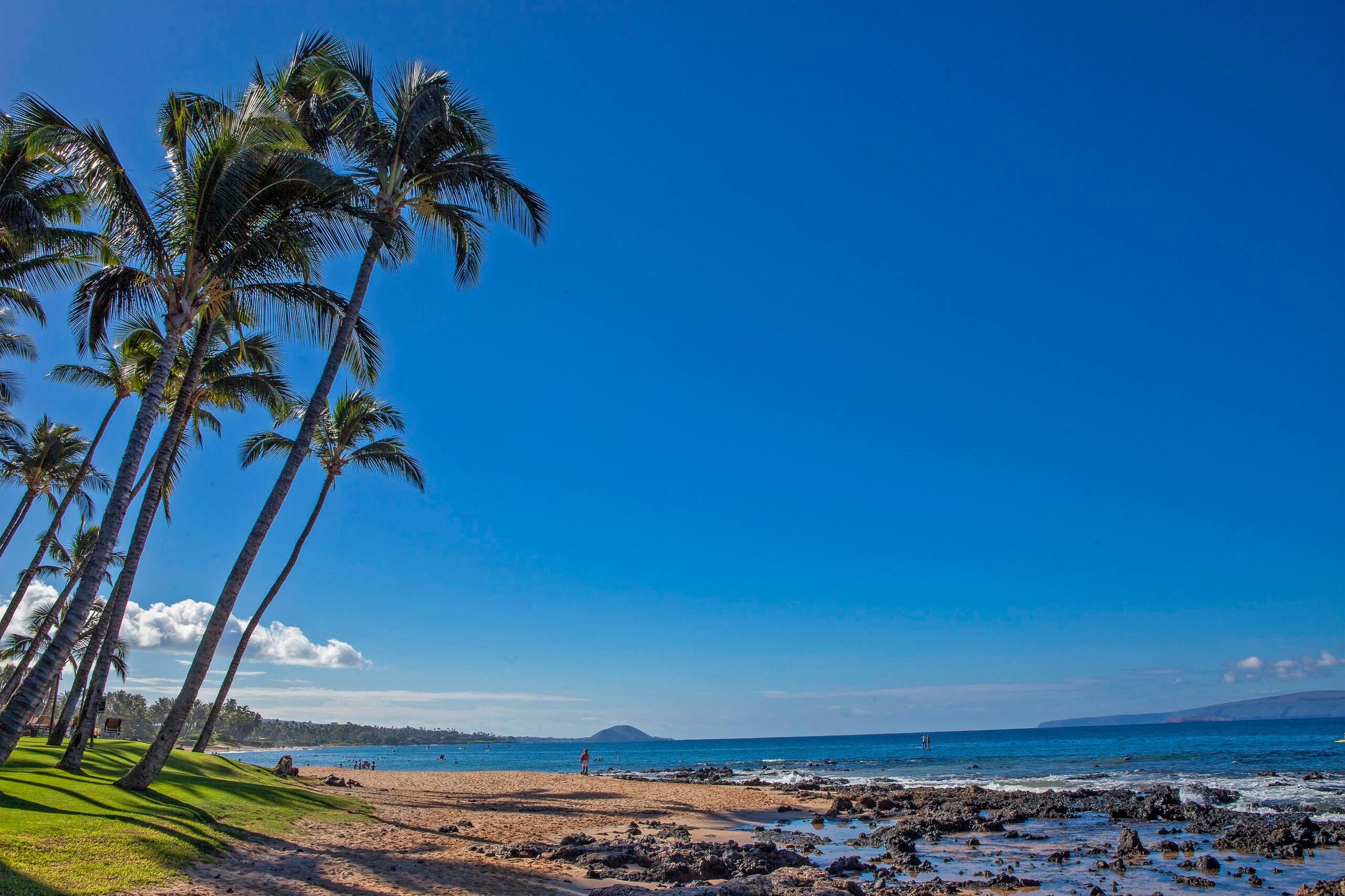 Condo in Kihei · ★4.63 · 1 bedroom · 2 beds · 1 bath - Image 23