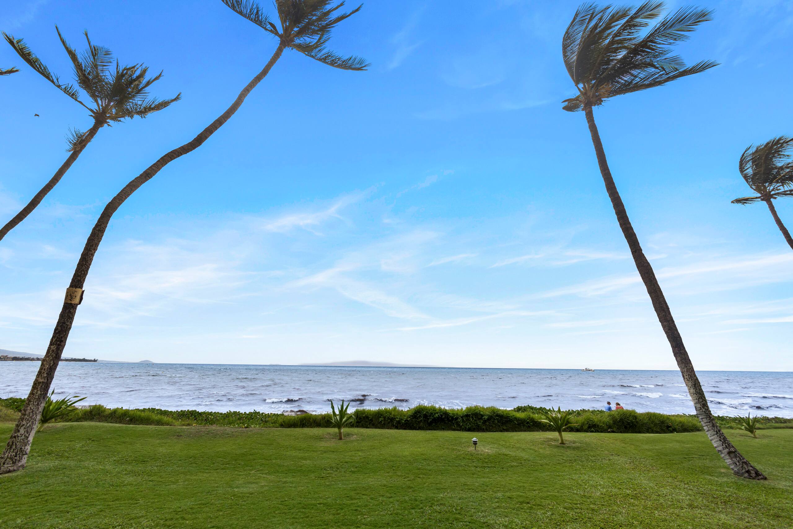 Condo in Kihei · ★5.0 · 1 bedroom · 2 beds · 1 bath - Image 4