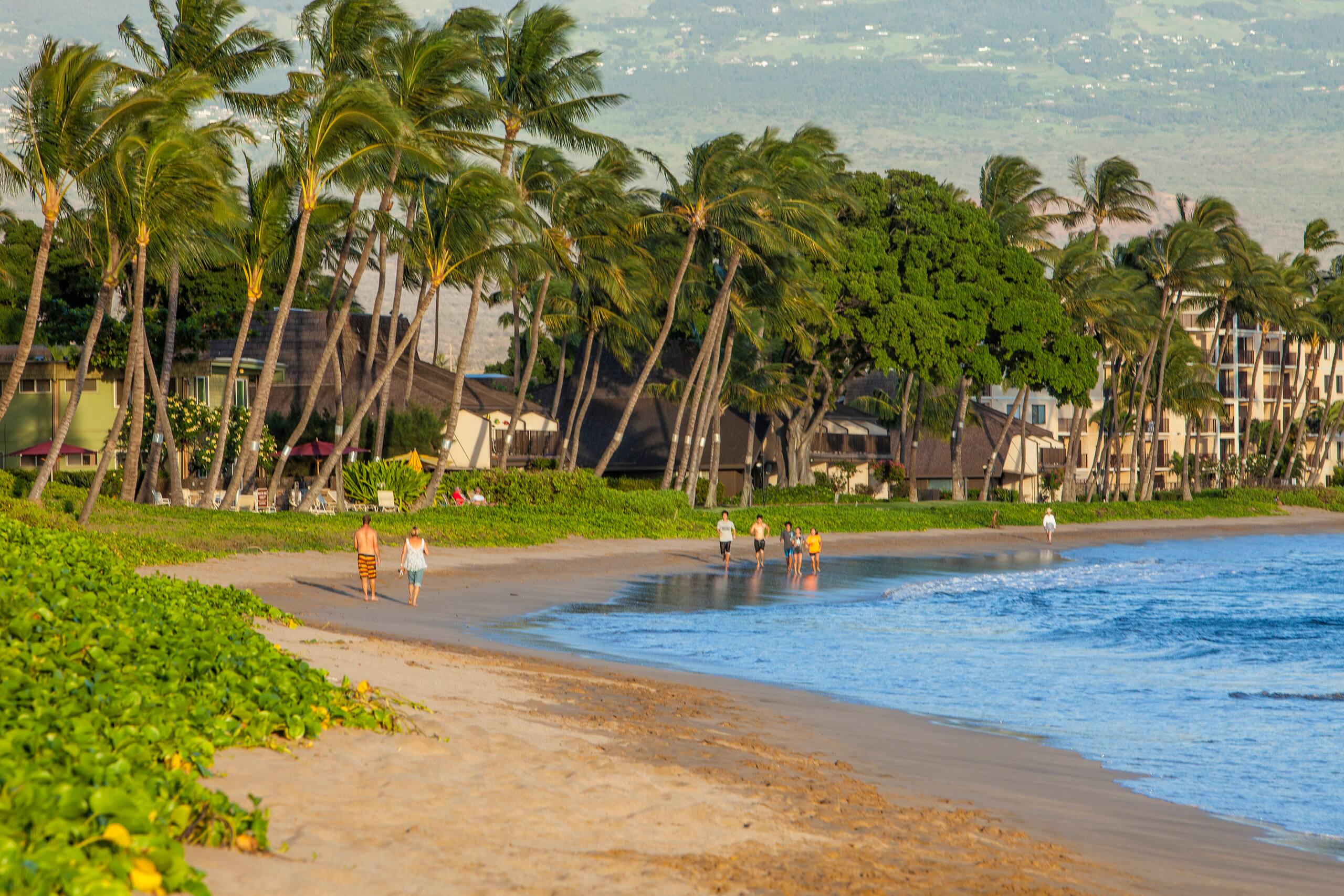 Condo in Kihei · ★5.0 · 1 bedroom · 2 beds · 1 bath - Image 35