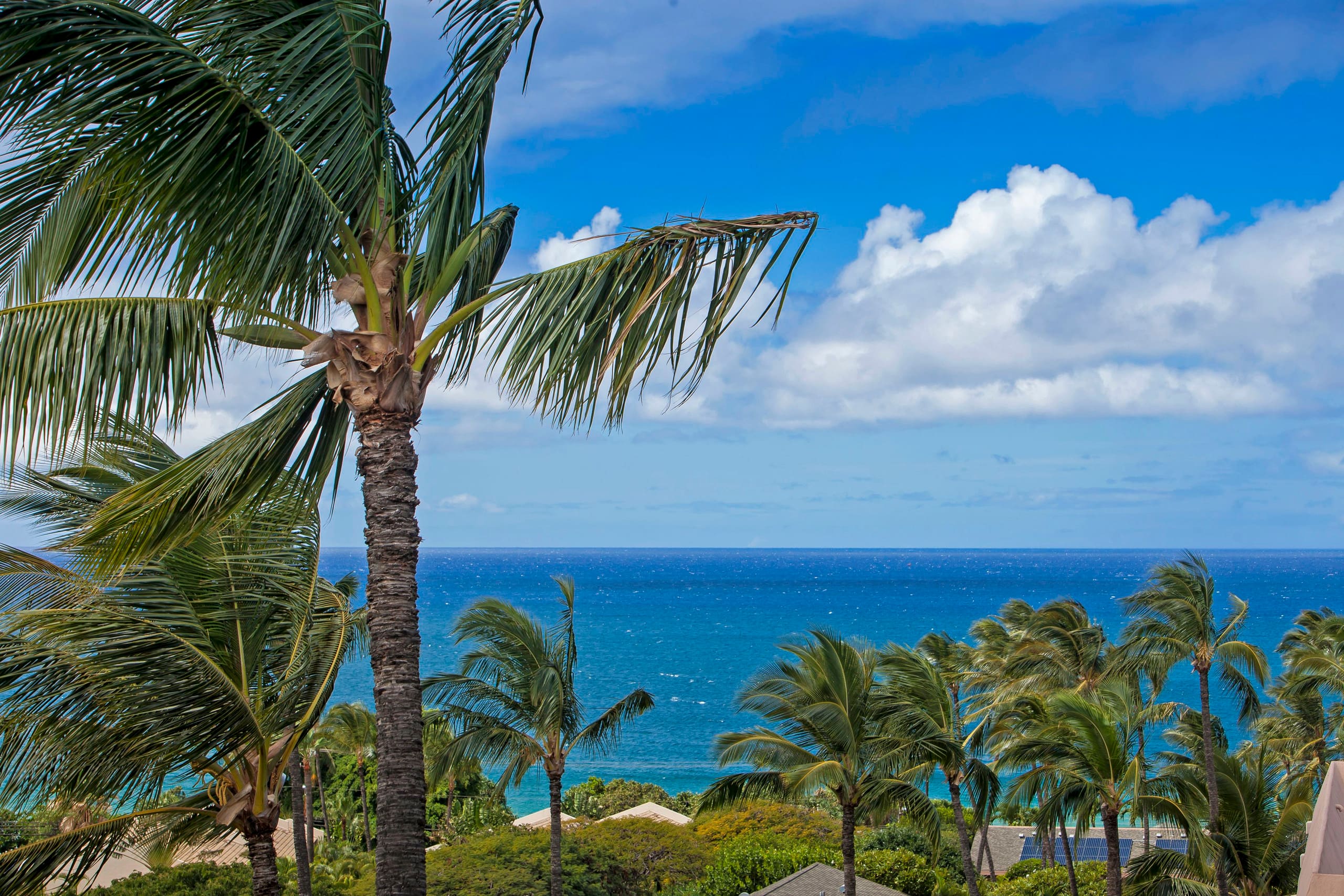 Condo in Kihei · ★4.64 · 2 bedrooms · 4 beds · 2 shared baths - Image 44