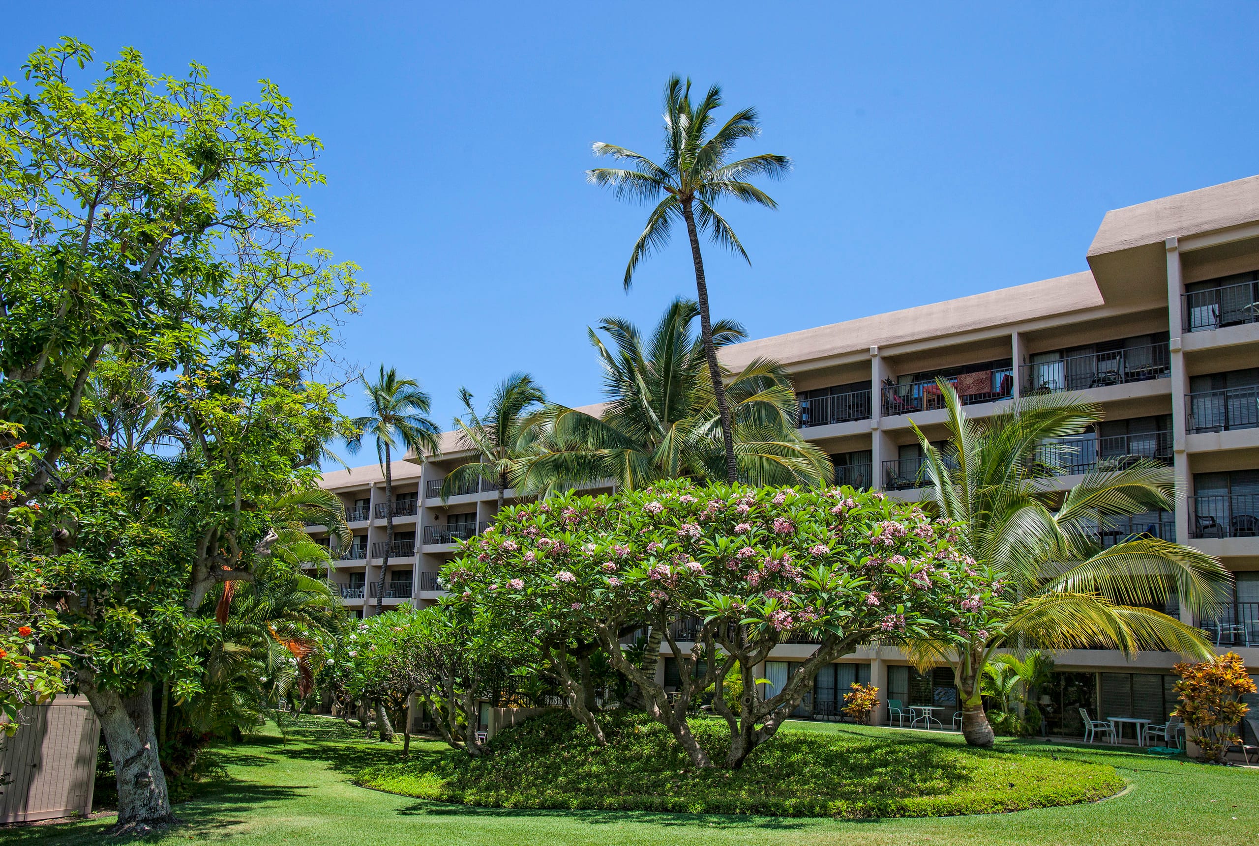 Condo in Kihei · ★4.64 · 2 bedrooms · 4 beds · 2 shared baths - Image 43