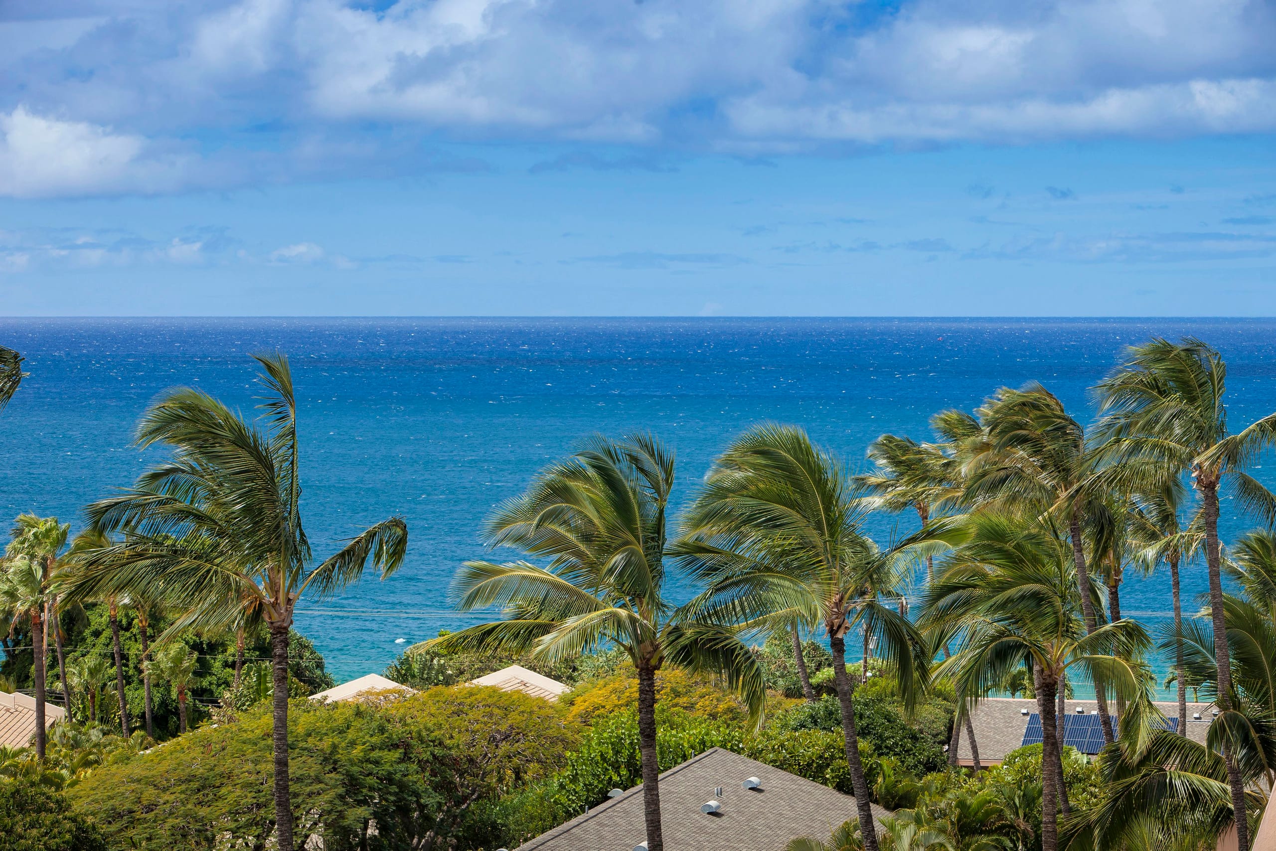 Condo in Kihei · ★4.64 · 2 bedrooms · 4 beds · 2 shared baths - Image 42