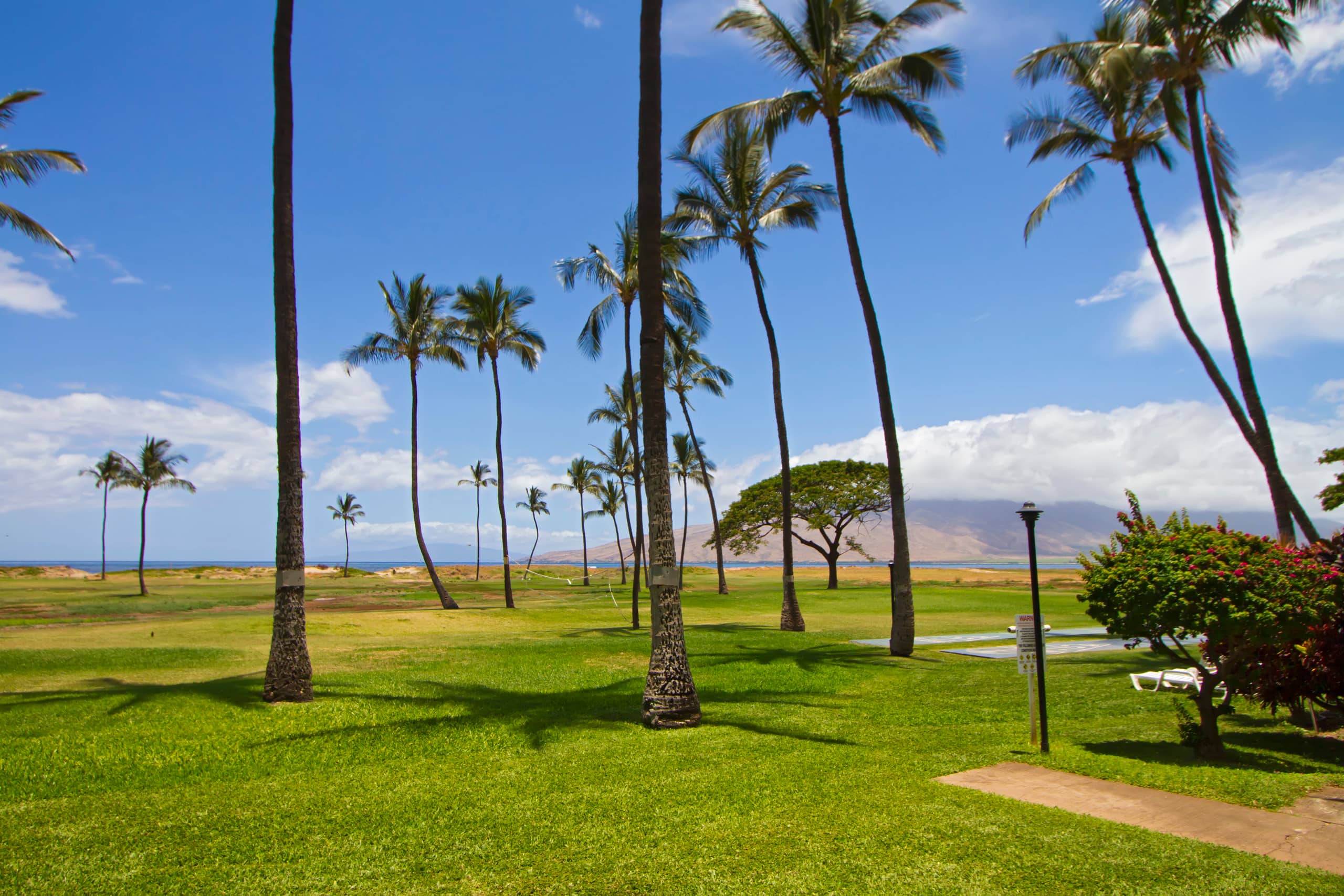 Condo in Kihei · ★4.25 · 1 bedroom · 2 beds · 1 bath - Image 33