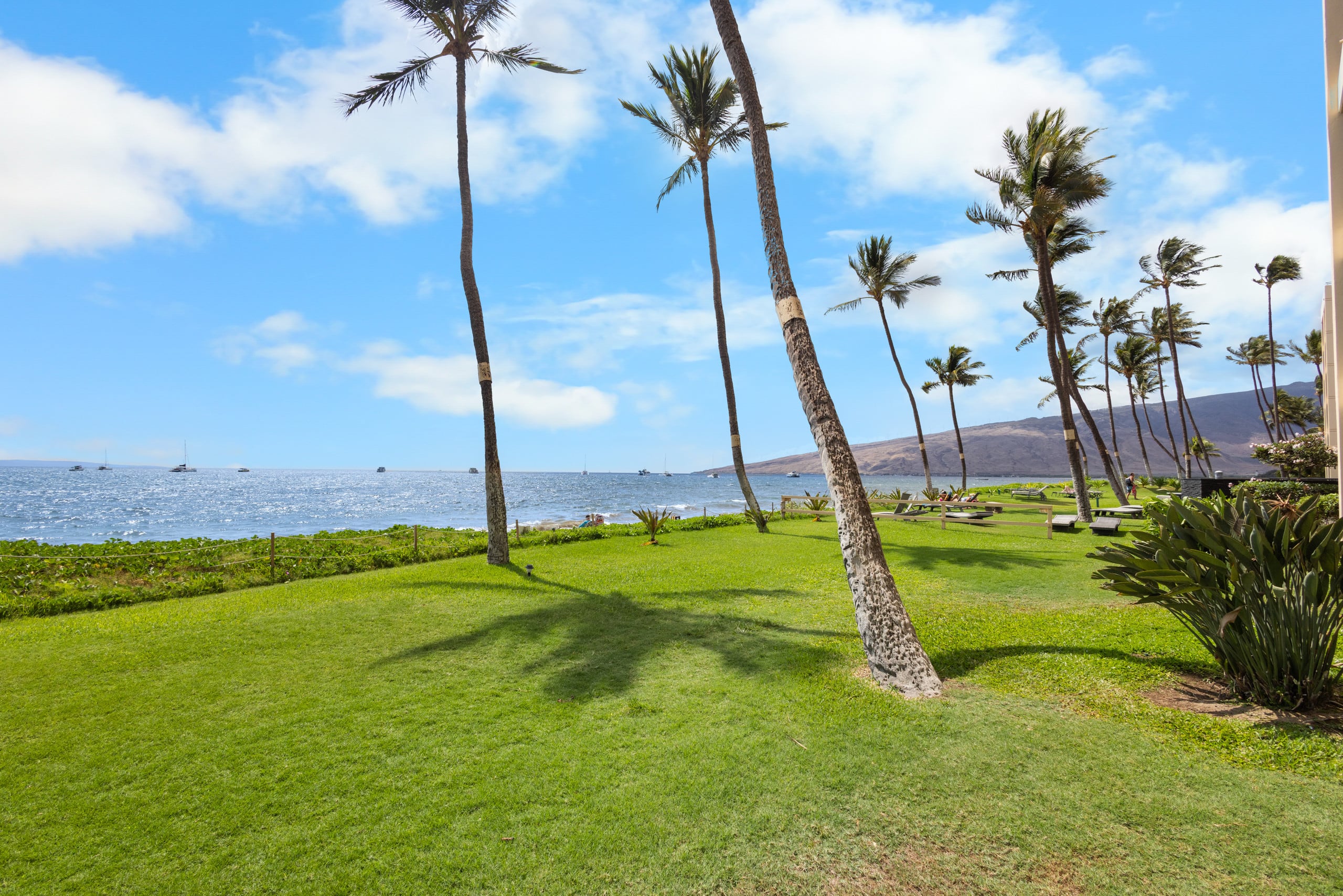 Condo in Kihei · ★5.0 · 1 bedroom · 2 beds · 1 bath - Image 28